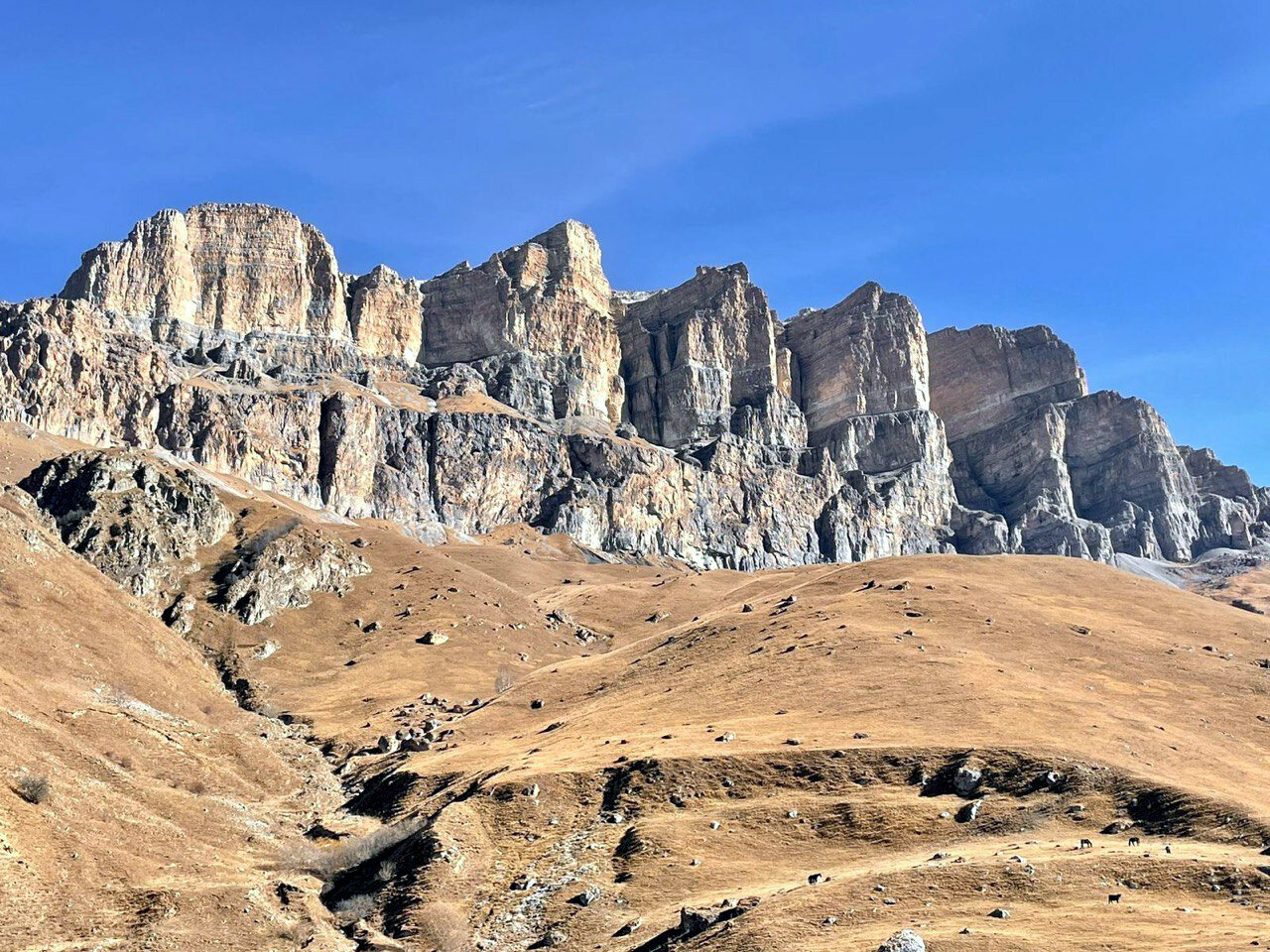 Фото Балкария-Фрэйм