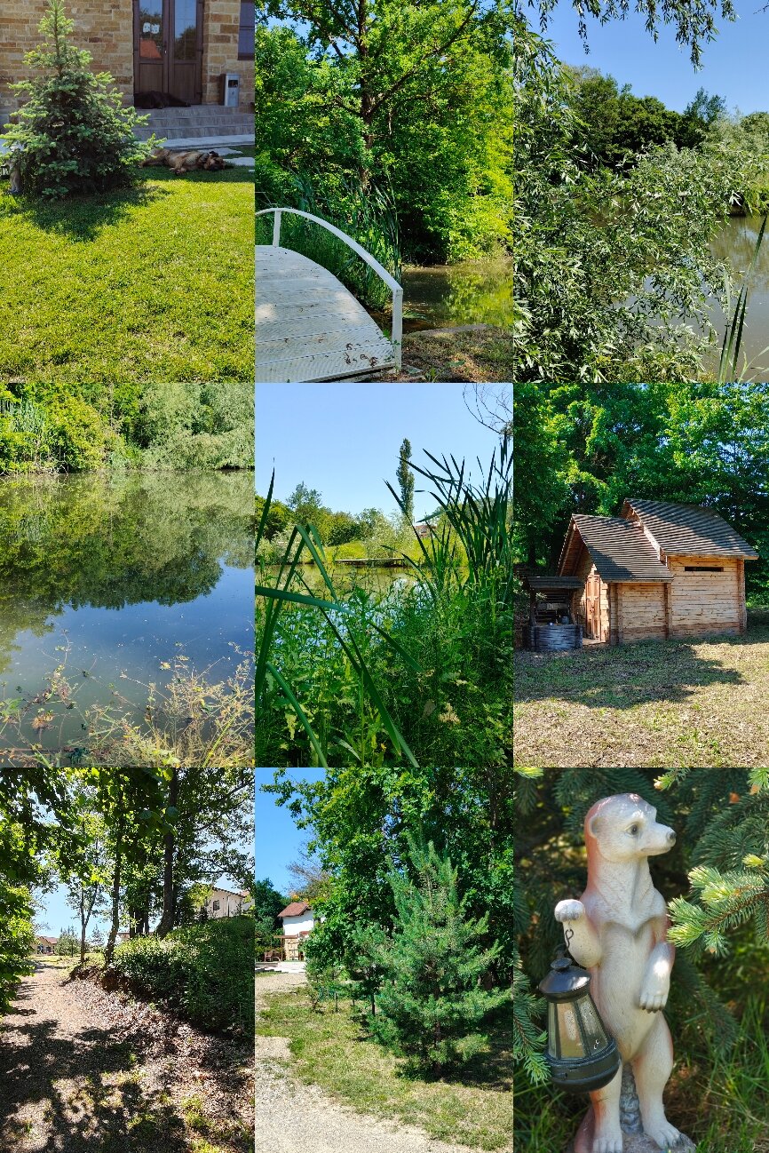 Фото Карский клуб