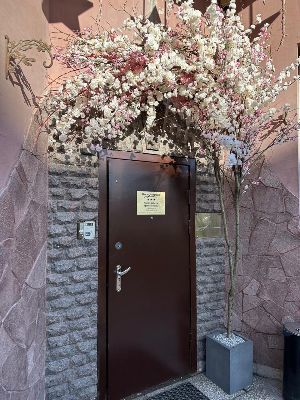 Фото Академия