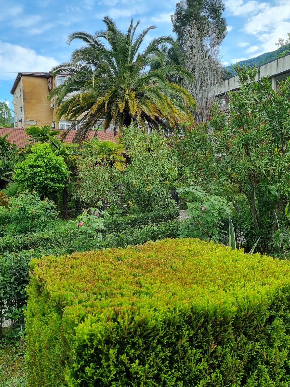 Фото Апсилаа