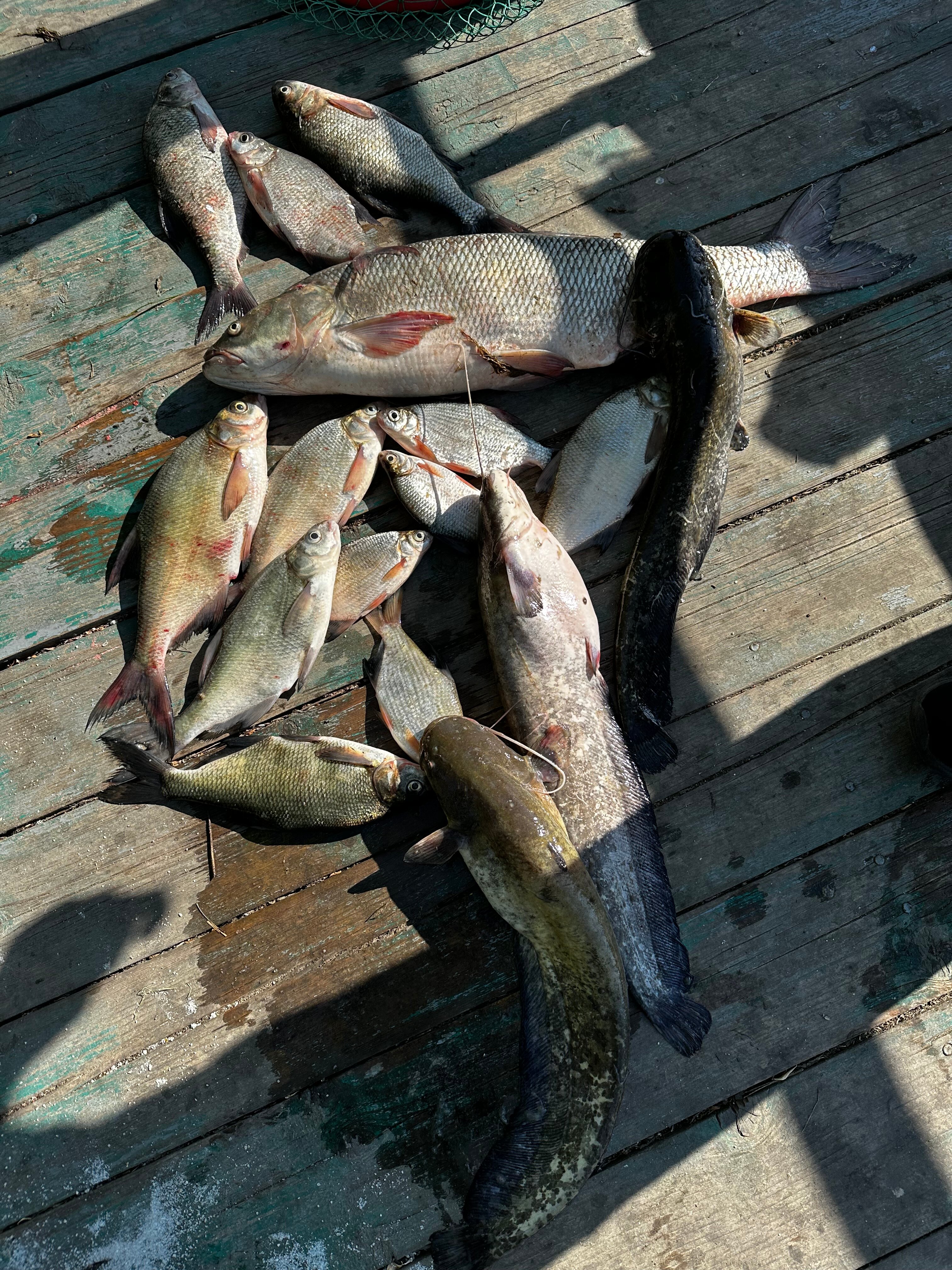 Фото Клёвое место