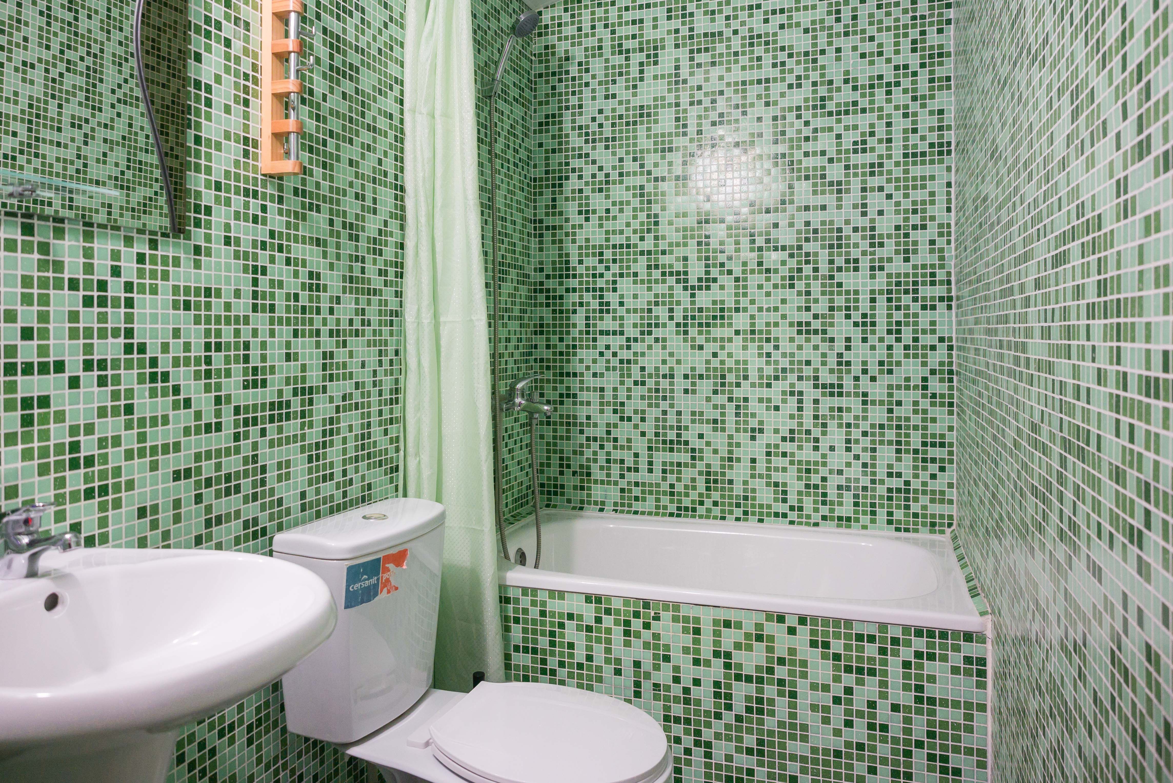 Фото Березы