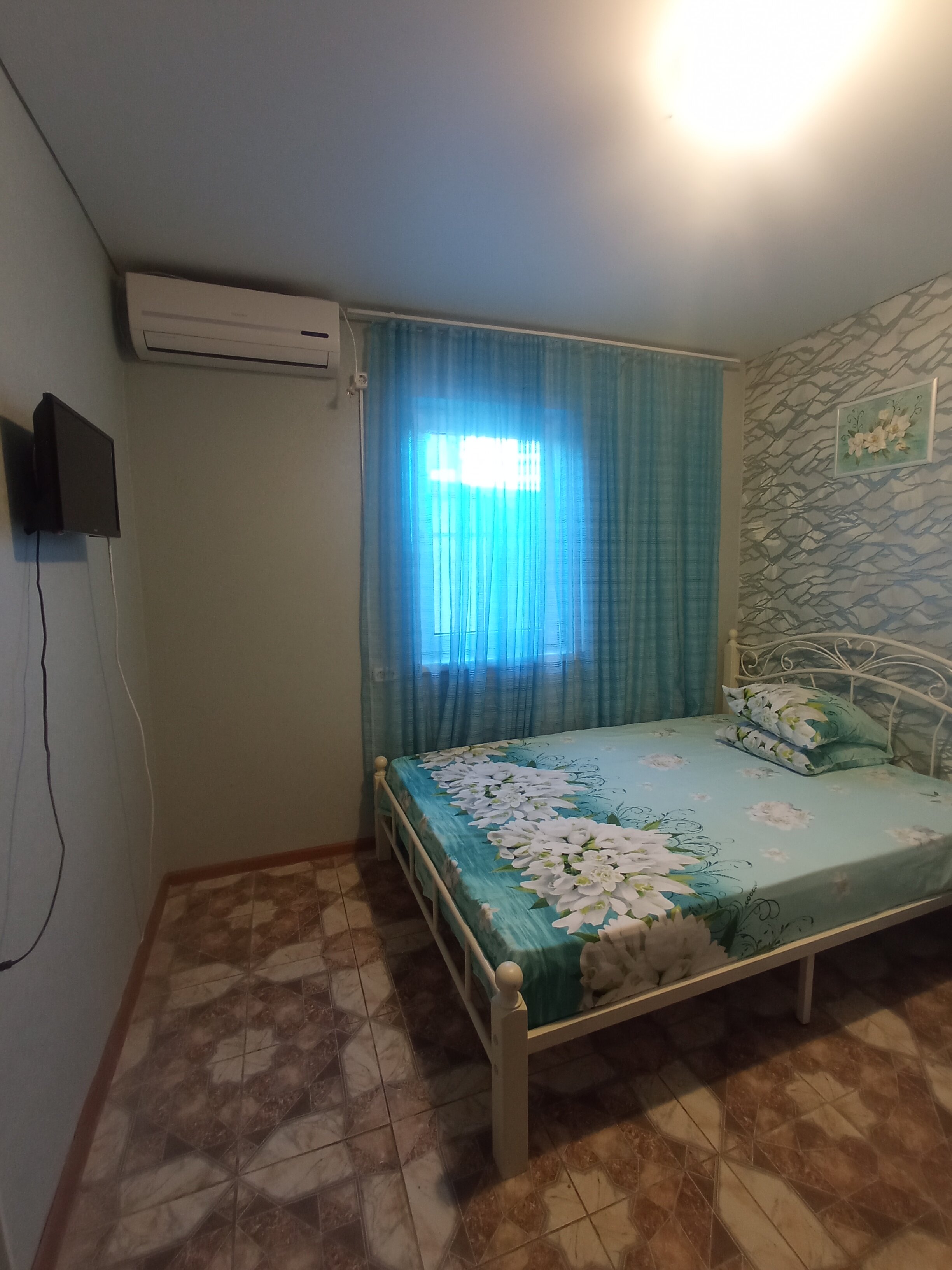 Фото Черноморская лоза