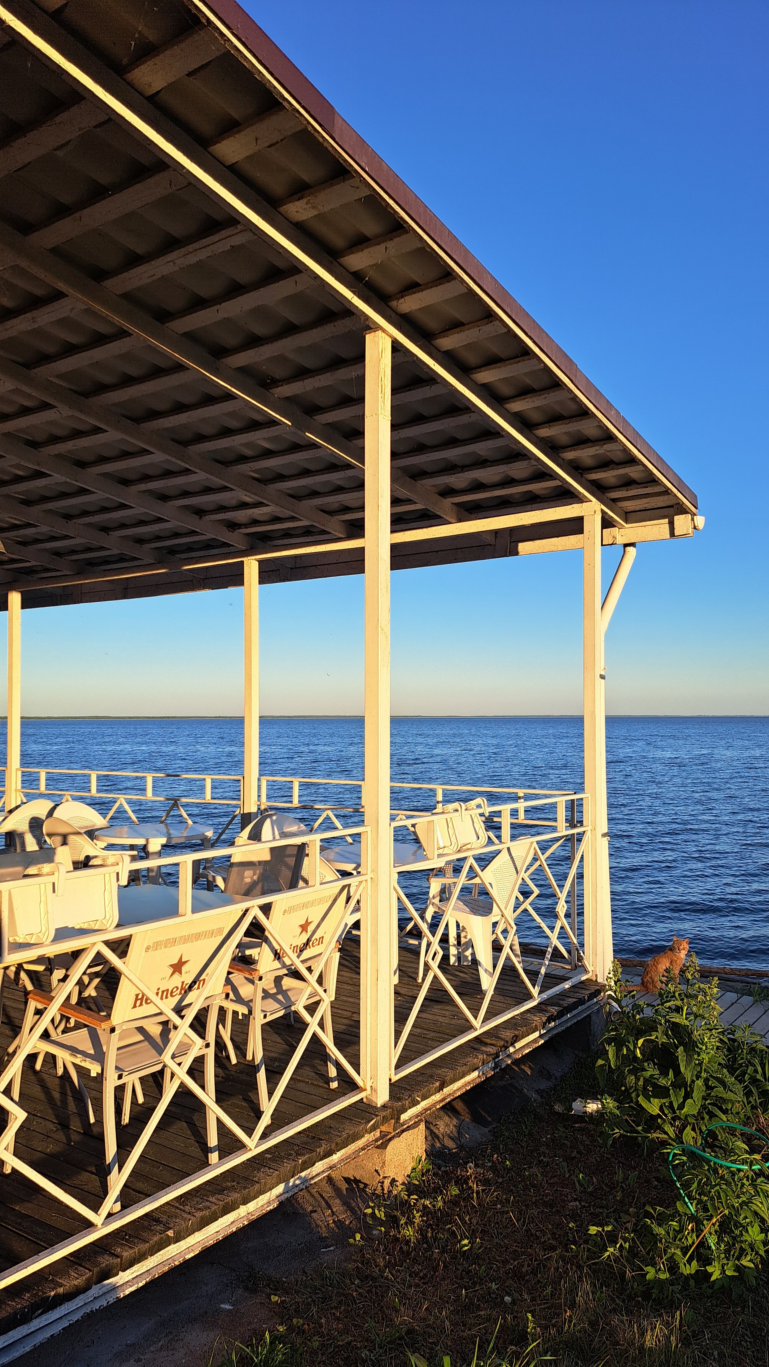 Фото Тихая гавань