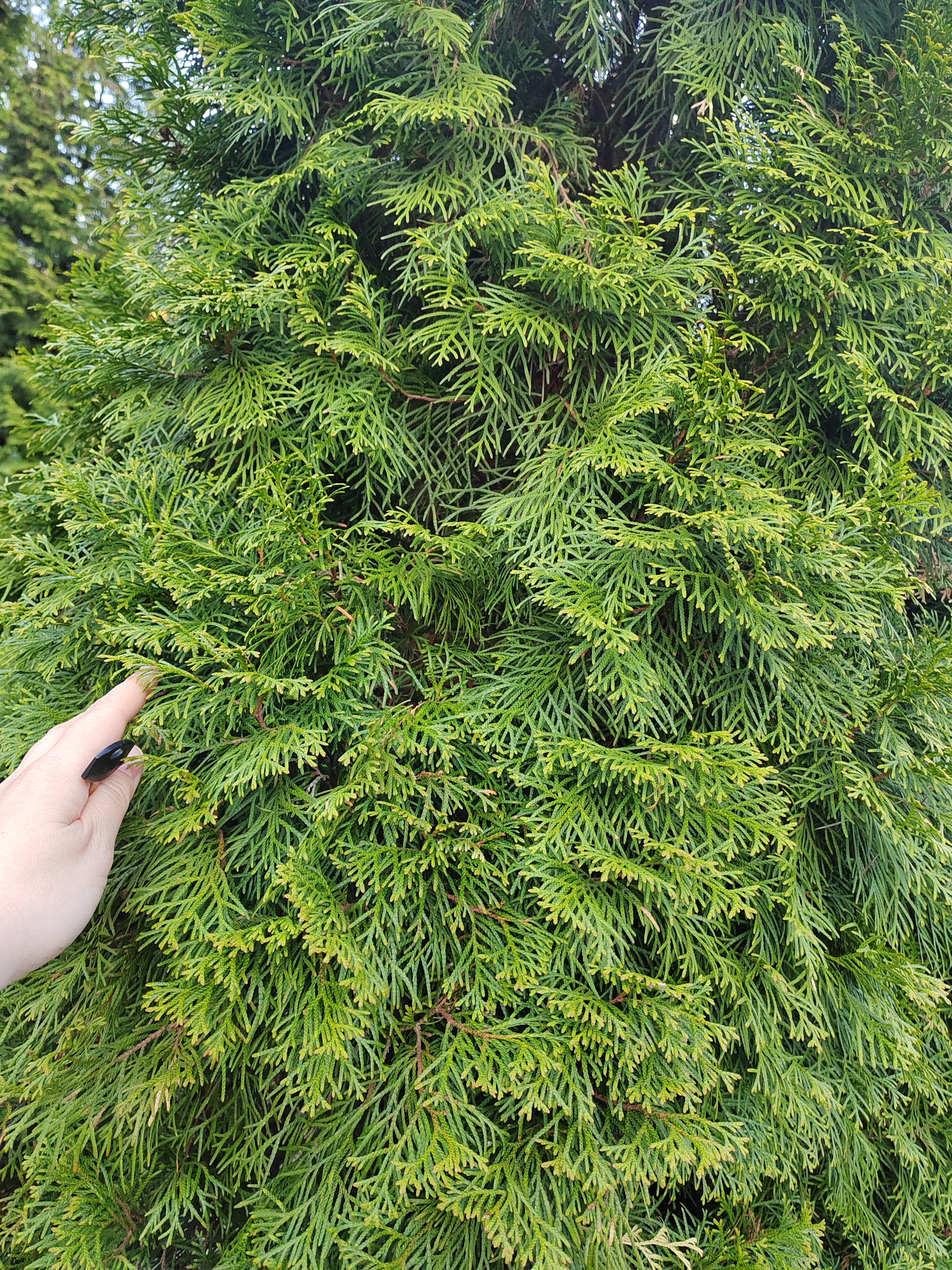 Фото Тихая заводь