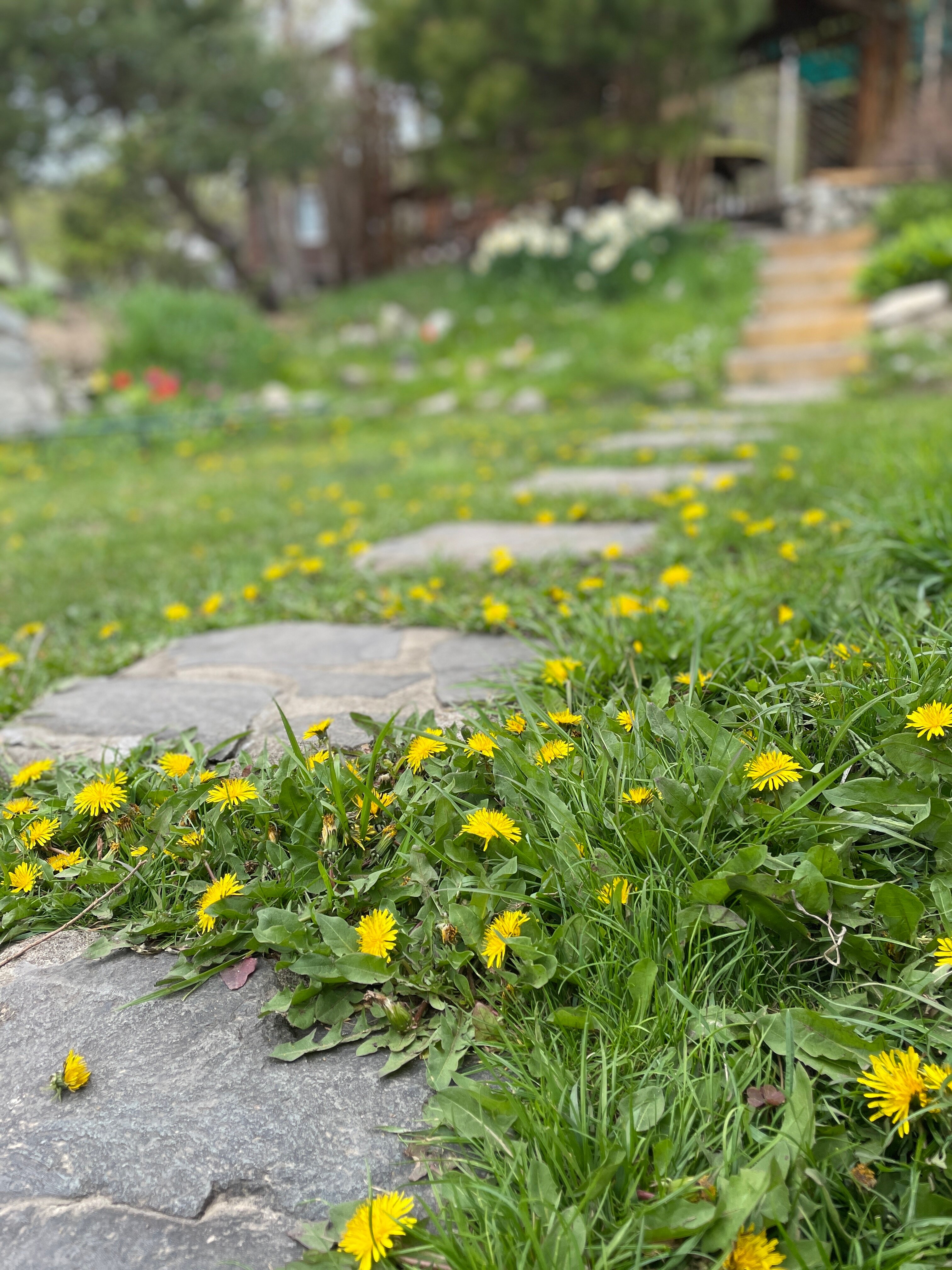 Фото Ольховая