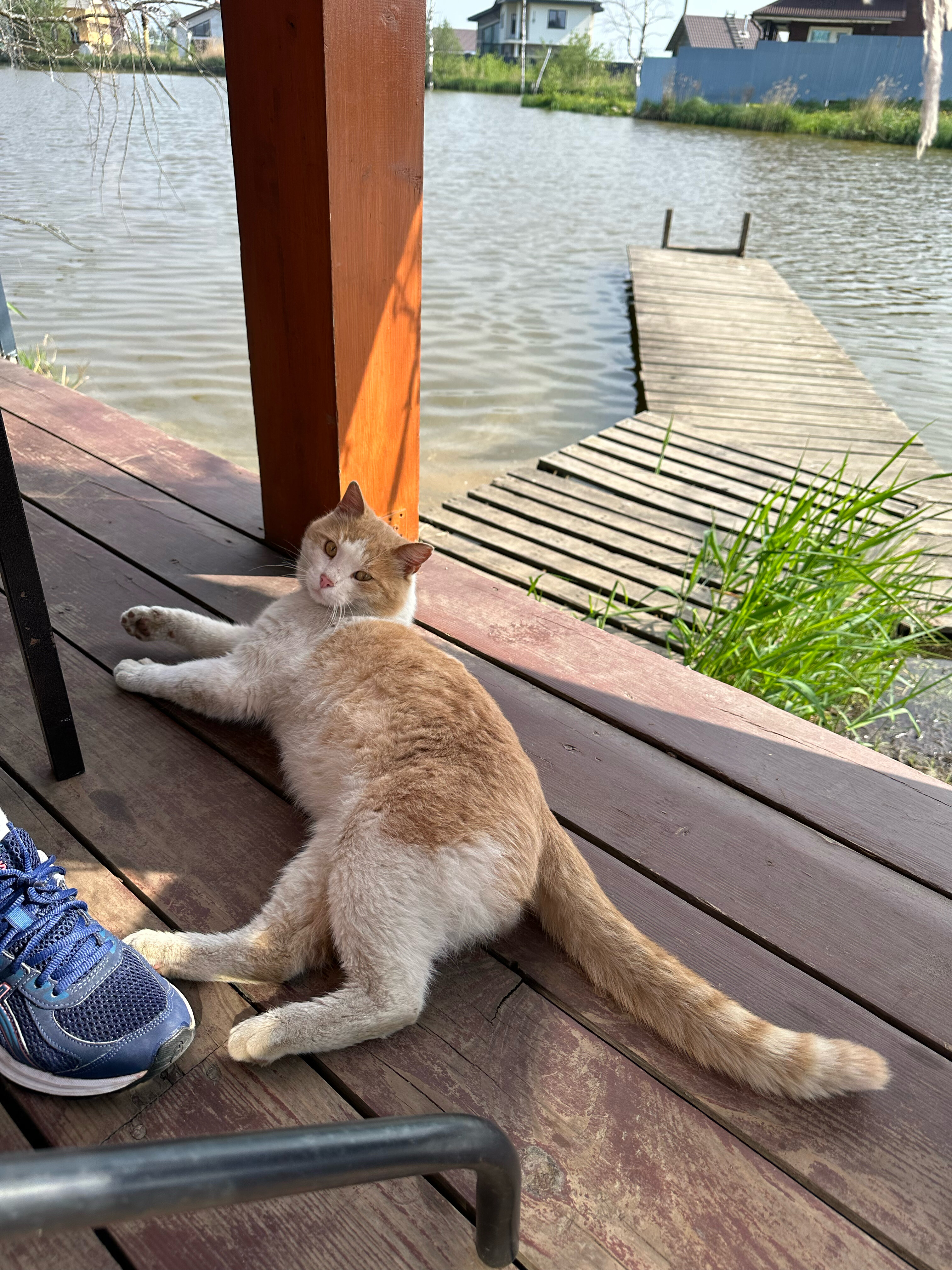 Фото Sanino Space