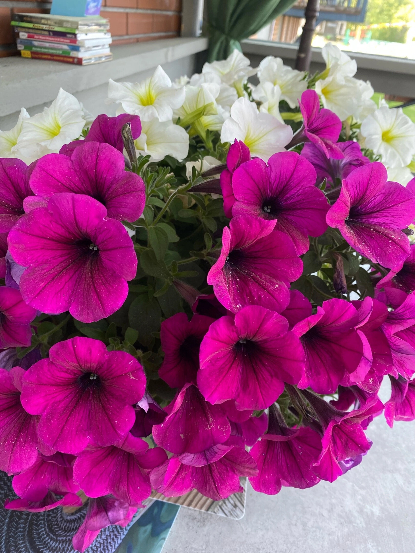 Фото Тимофеево