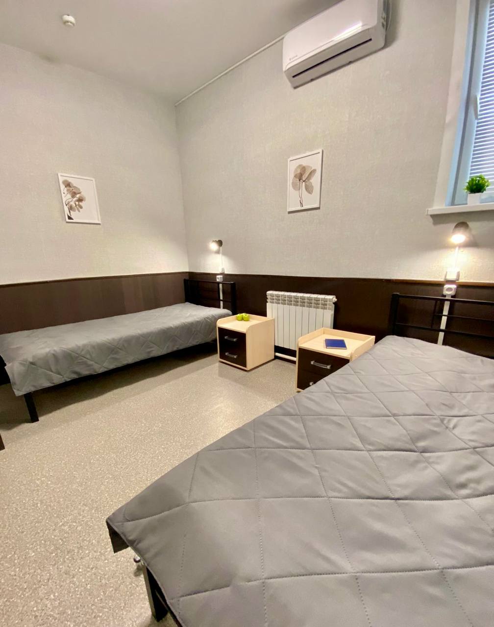 Фото Колибри