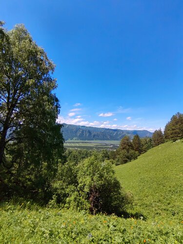 Белый кролик  фото 9