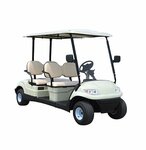 Destino-kart -Premium Electric Golf Cart Buggy Uae (1, Al Darbhaneyah Street, Al Nudood, Sector 3, Ras Al Khaimah), electric vehicles, sales and service