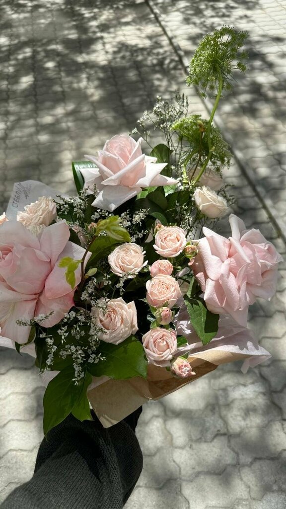 Елена Ноговицина