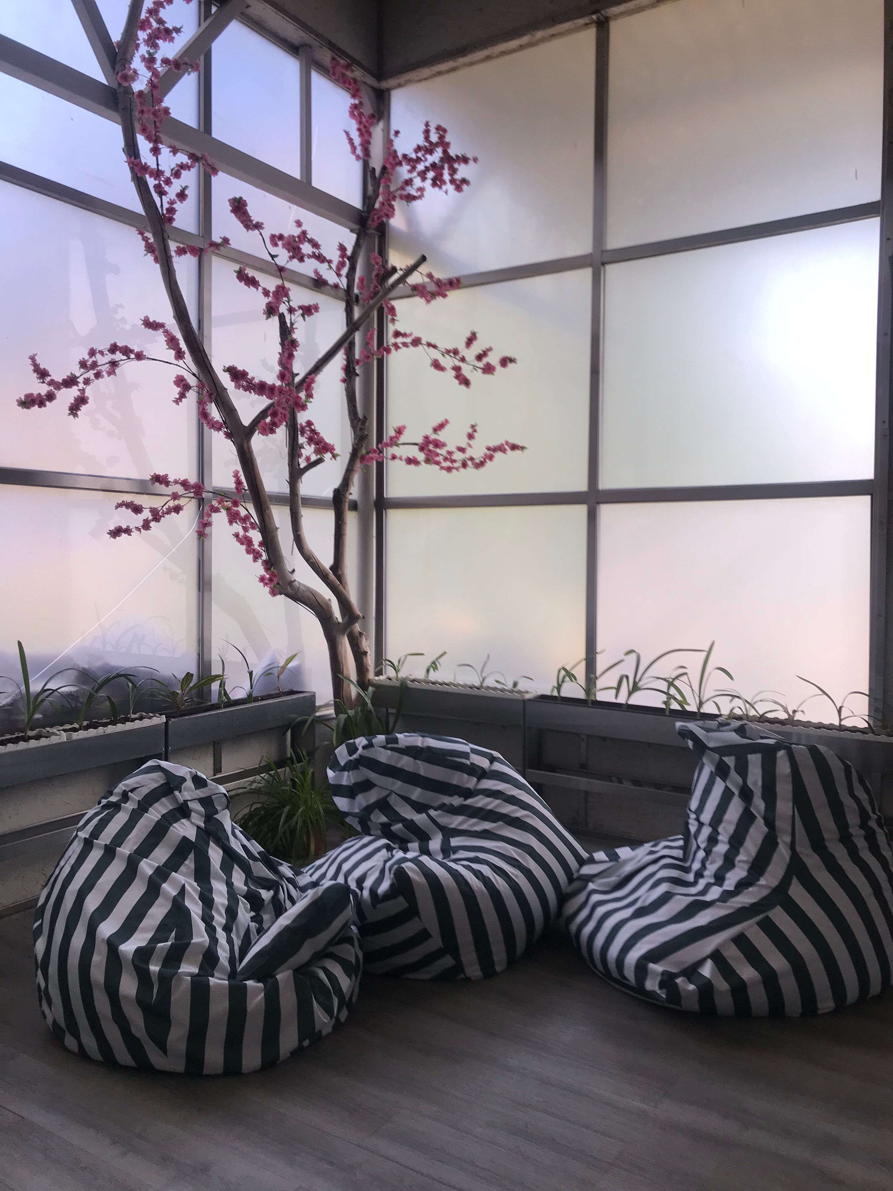 Фото Ингербургский