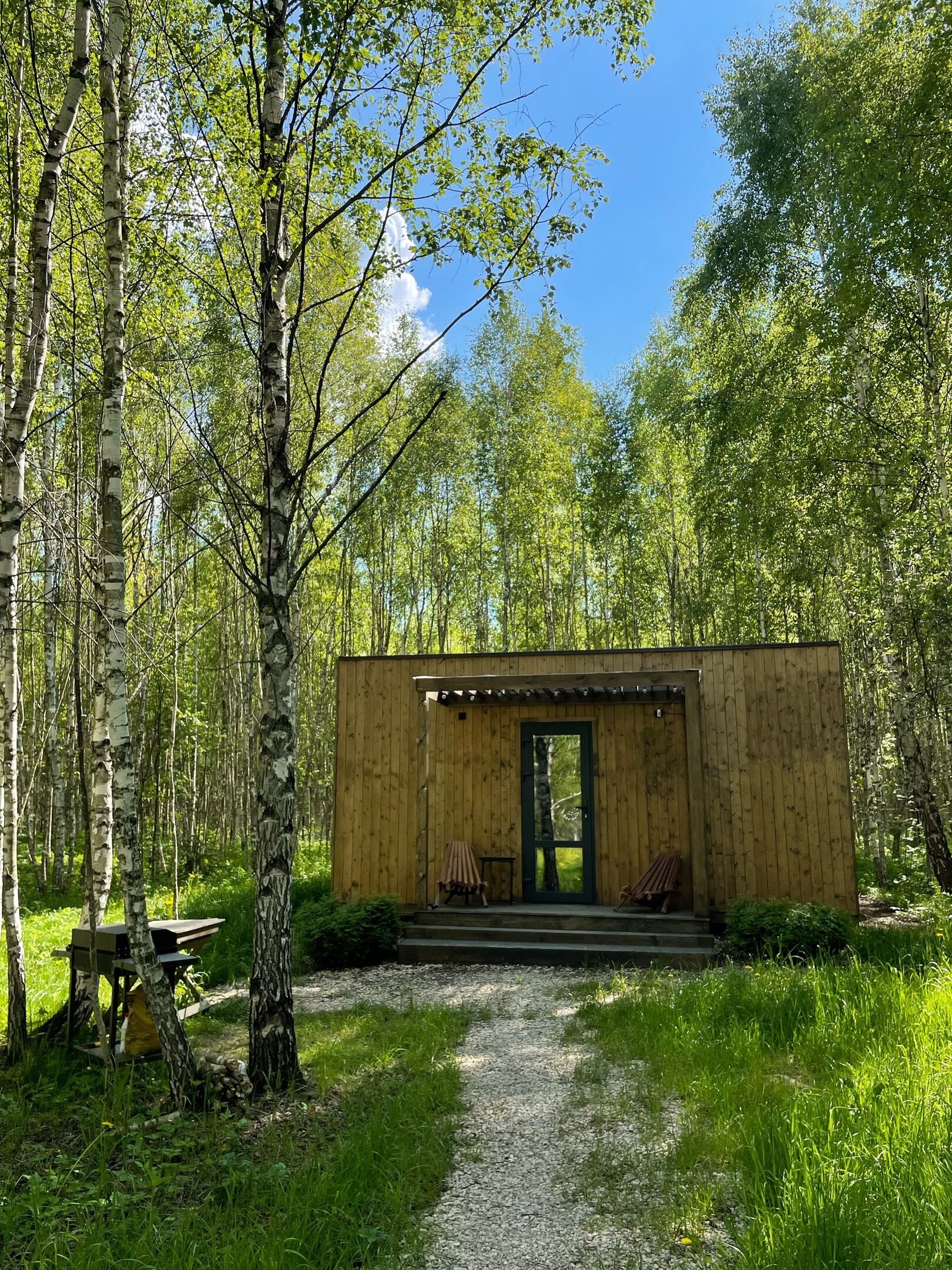 Фото Два зайца