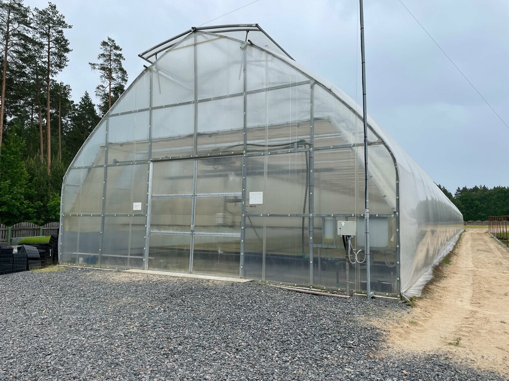 Тепличное хозяйство ВиксГрупп, Гомель, фото