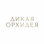 WildOrchid (Tsentralniy City administrative district, Tsentralniy Microdistrict, Industrialnaya Street, 2), lingerie and swimwear shop