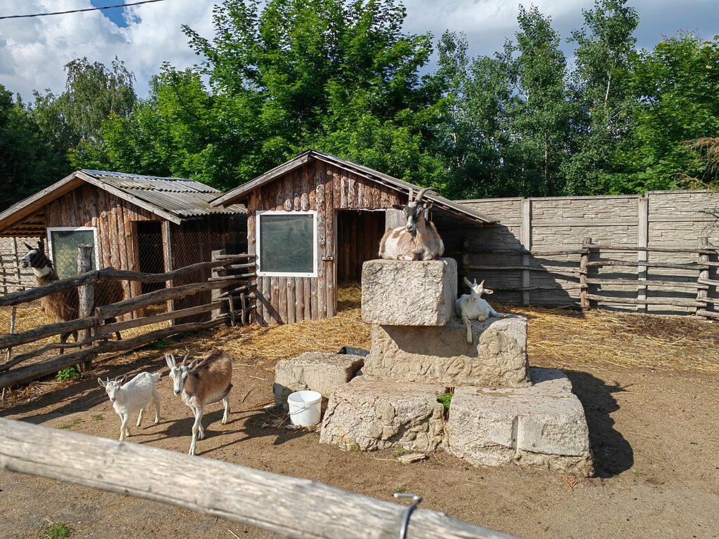 Zoo Агроусадьба Графское наследие, Minsk District, photo