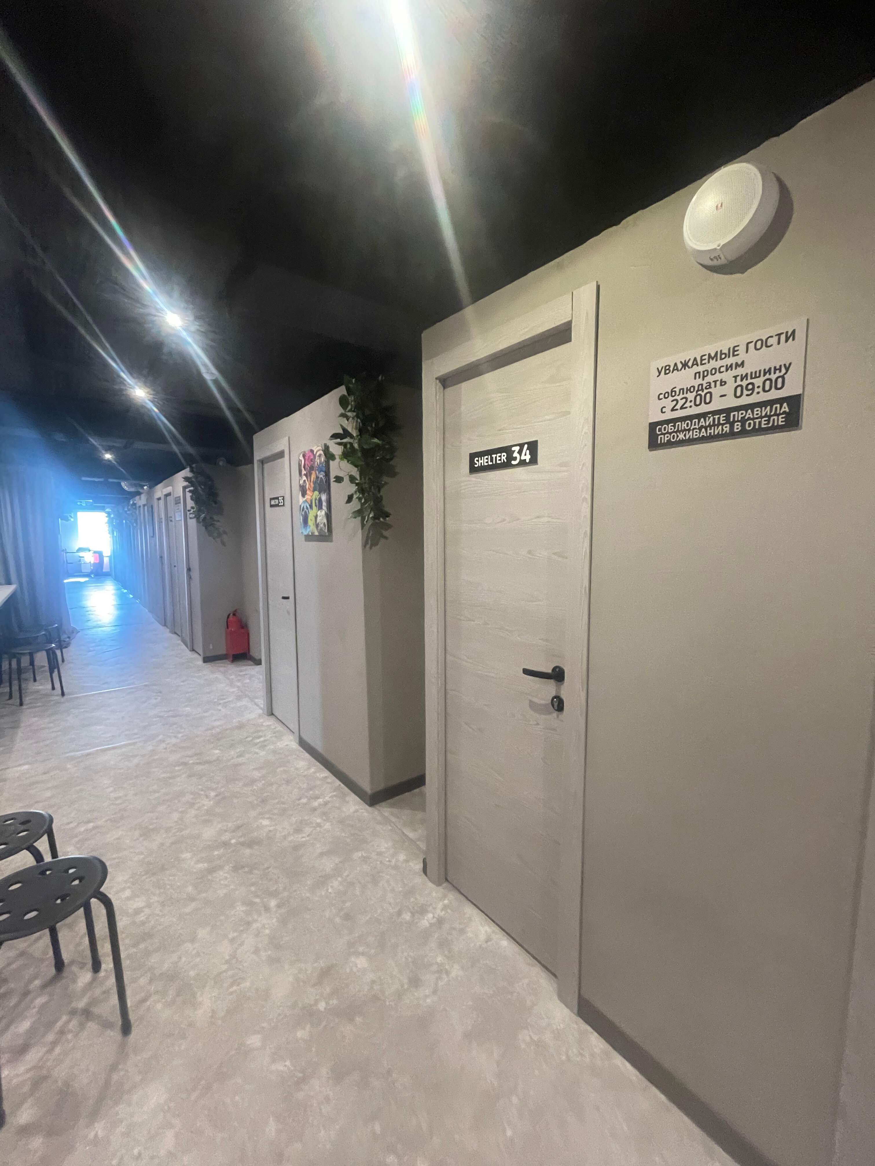 Фото Shelterz Три вокзала