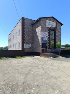 Feniks central (Town of Bolotnoye, ulitsa Gorkogo, 28), hotel