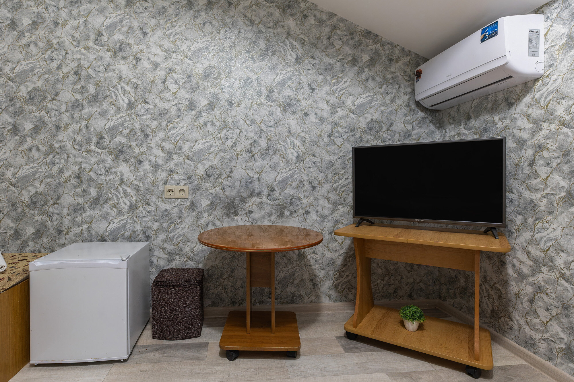 Фото Светлый Аллама групп