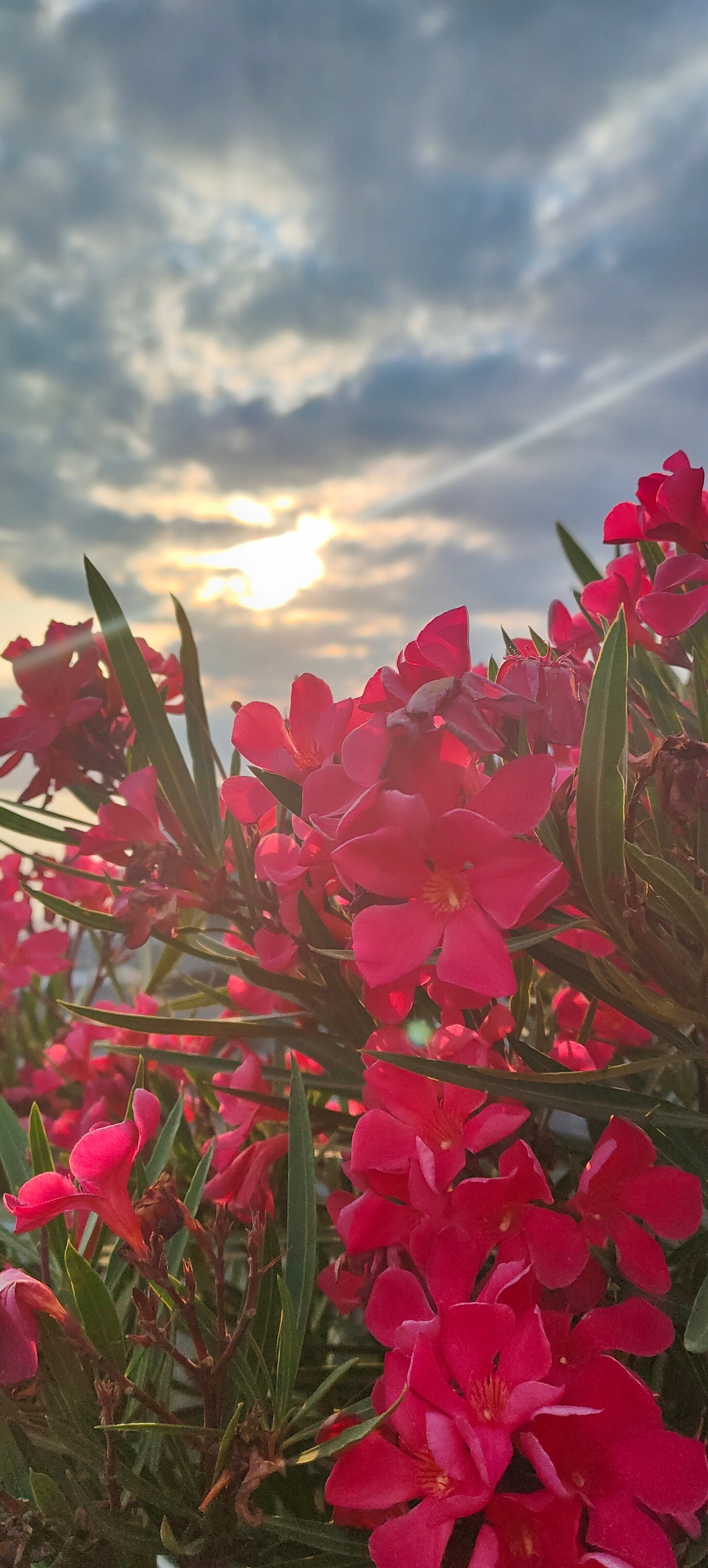 Фото Акалам Кантри Клаб