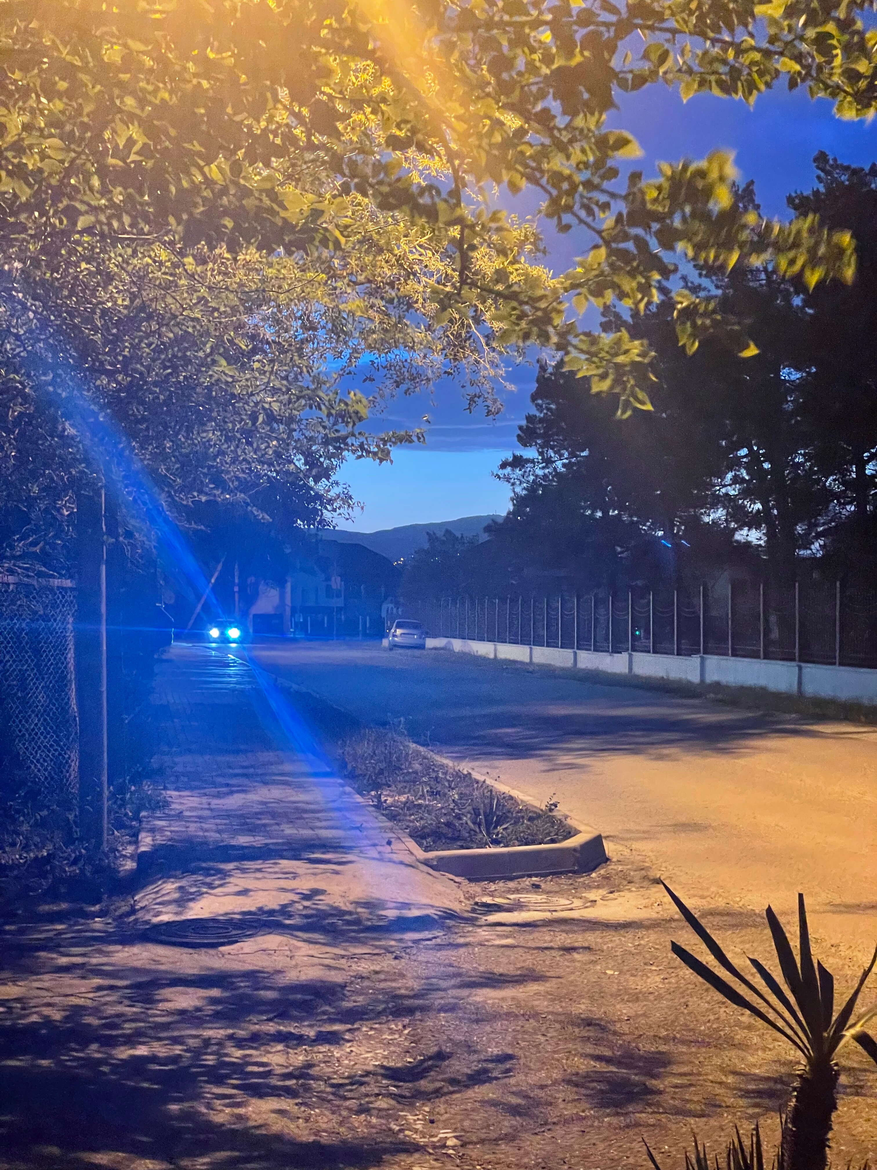 Фото Большая Черепаха