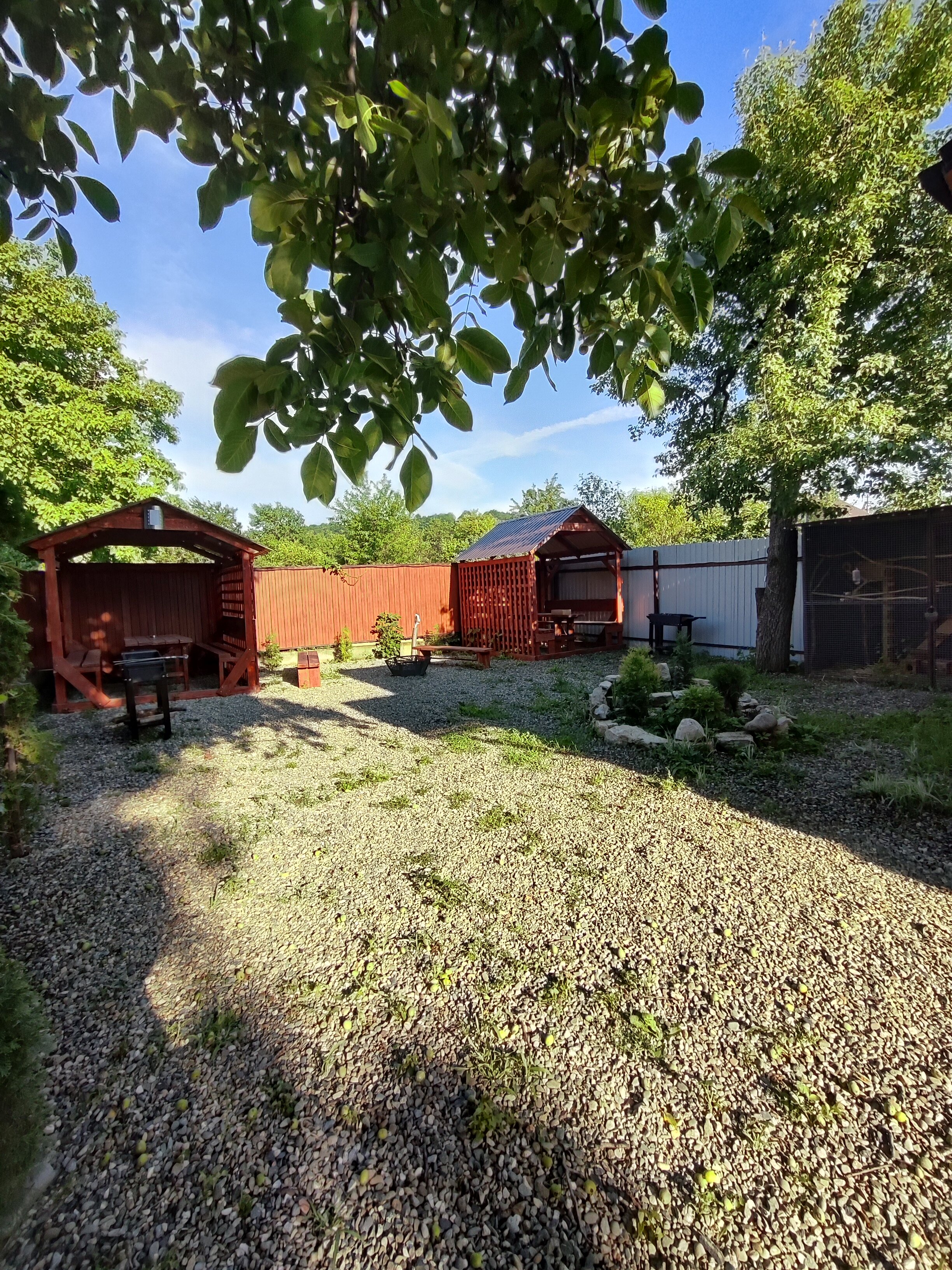 Фото Проксима