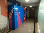 Почтомат (Lva Tolstogo Street, 9) ، الطرود الآلي