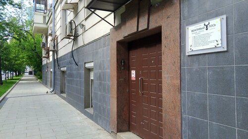 Хостел Вежливый Лось Home Boxes в Москве