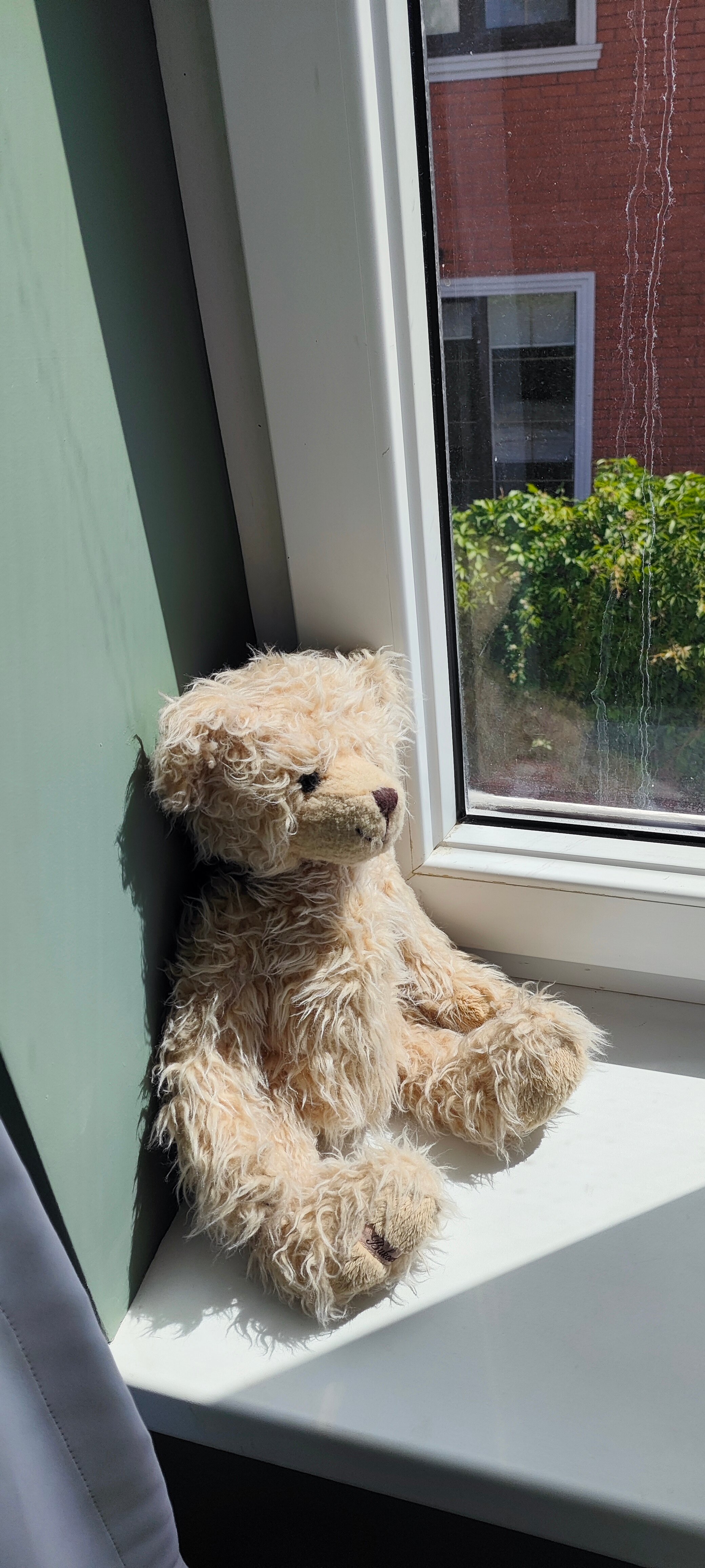 Фото Villa Plantage