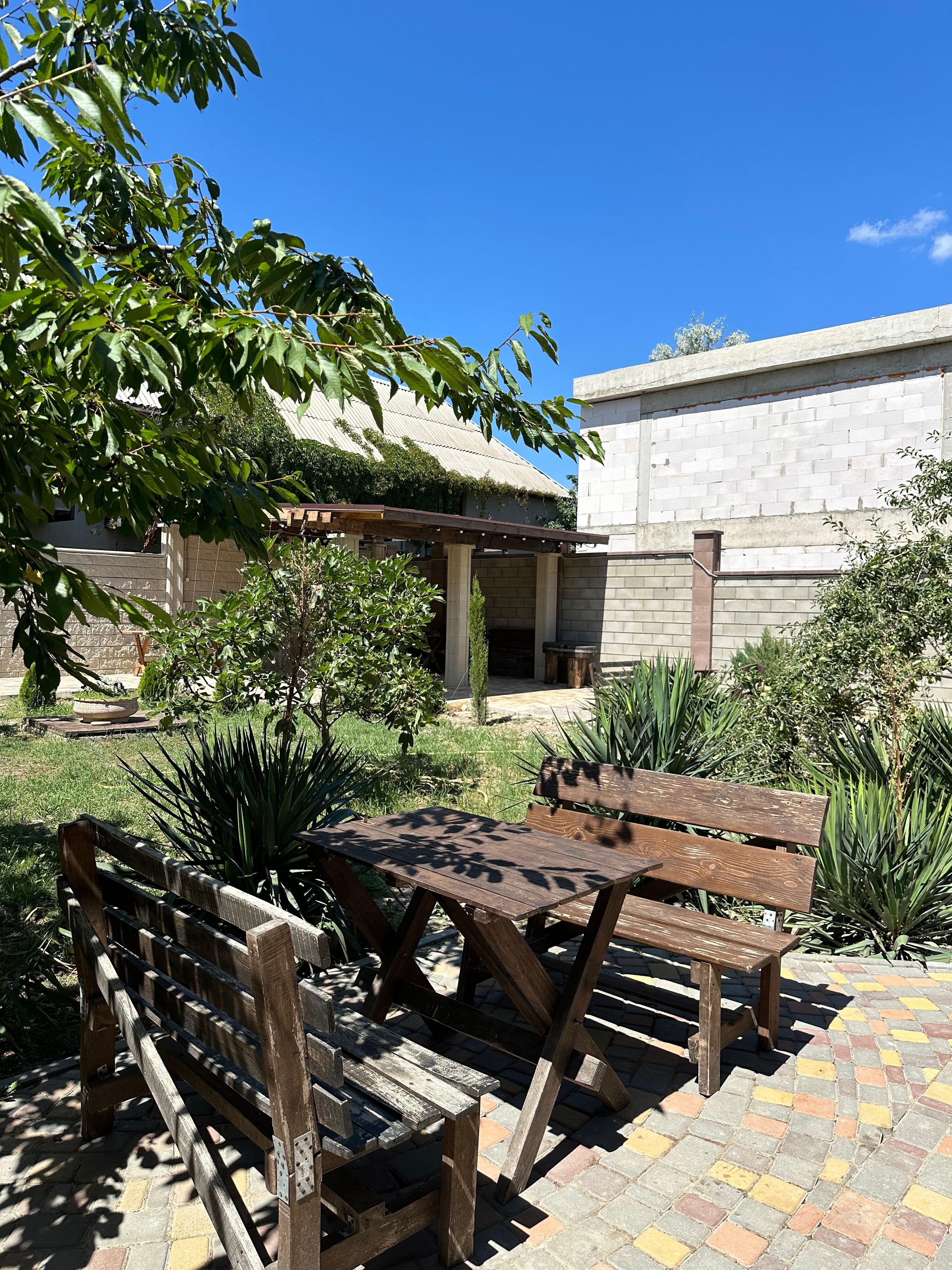 Фото Фламинго