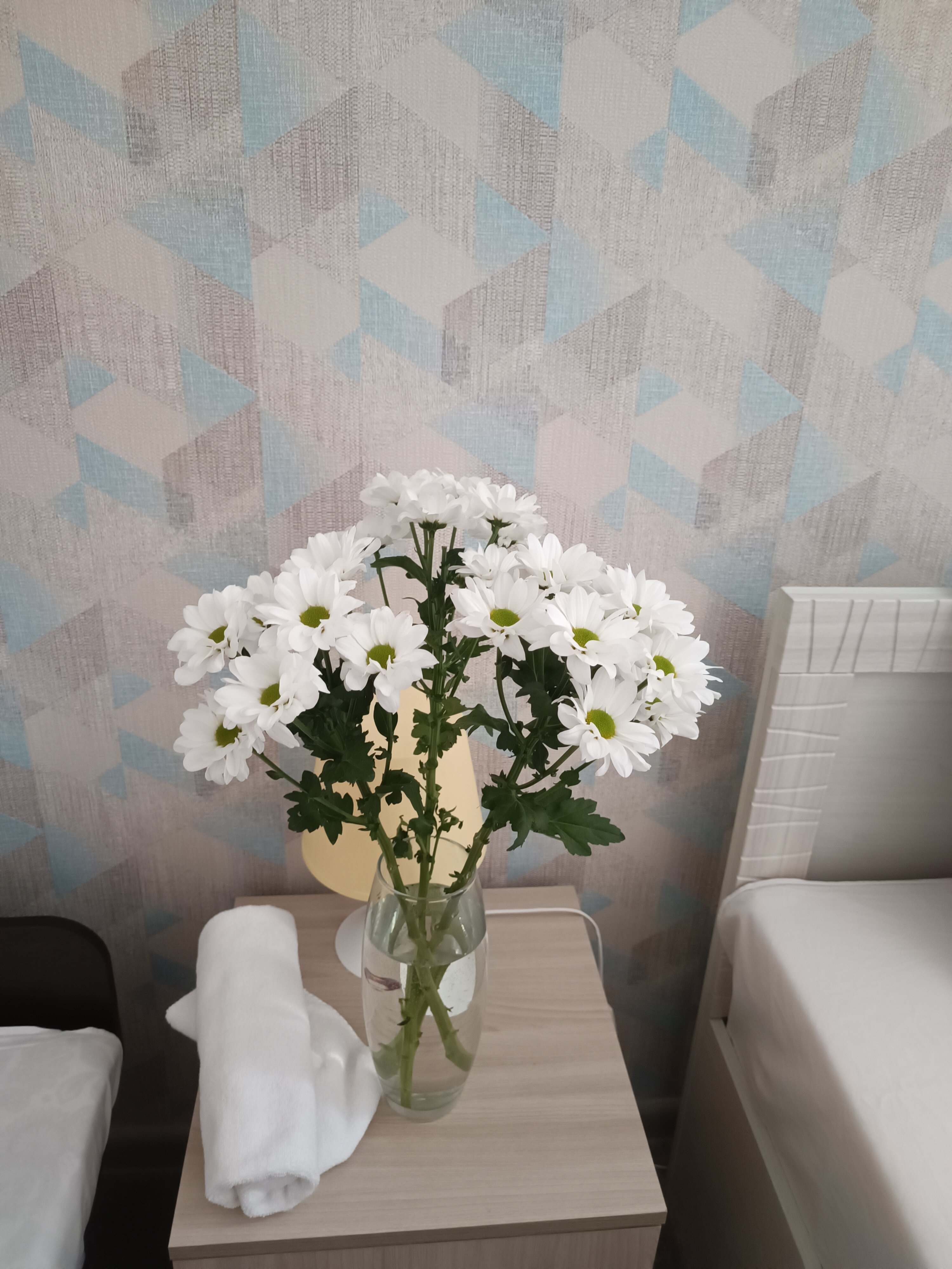 Фото Эстрель