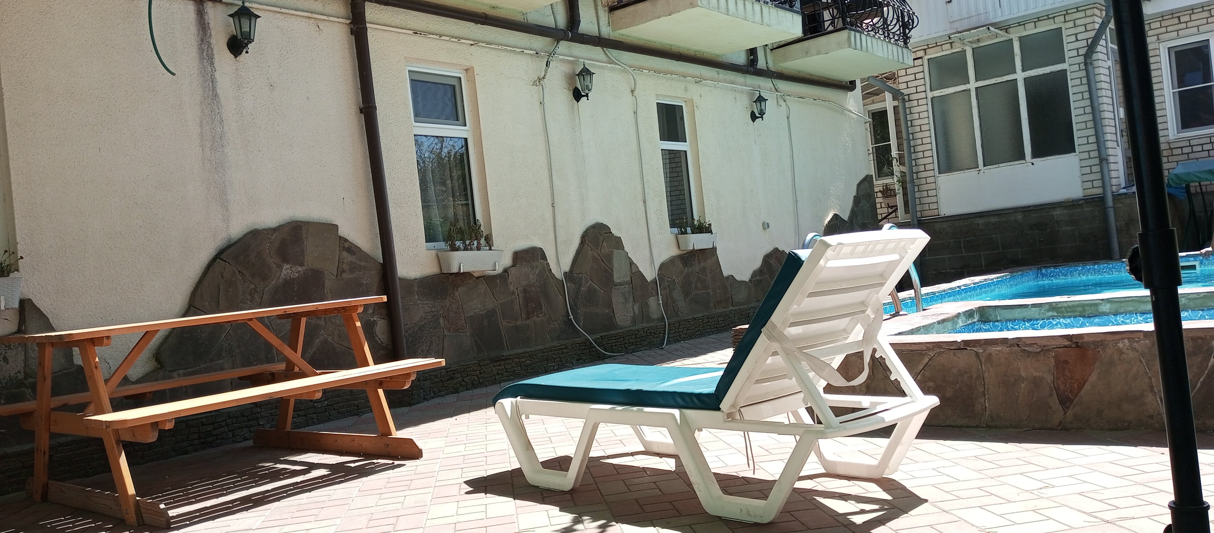 Фото Дельфиния