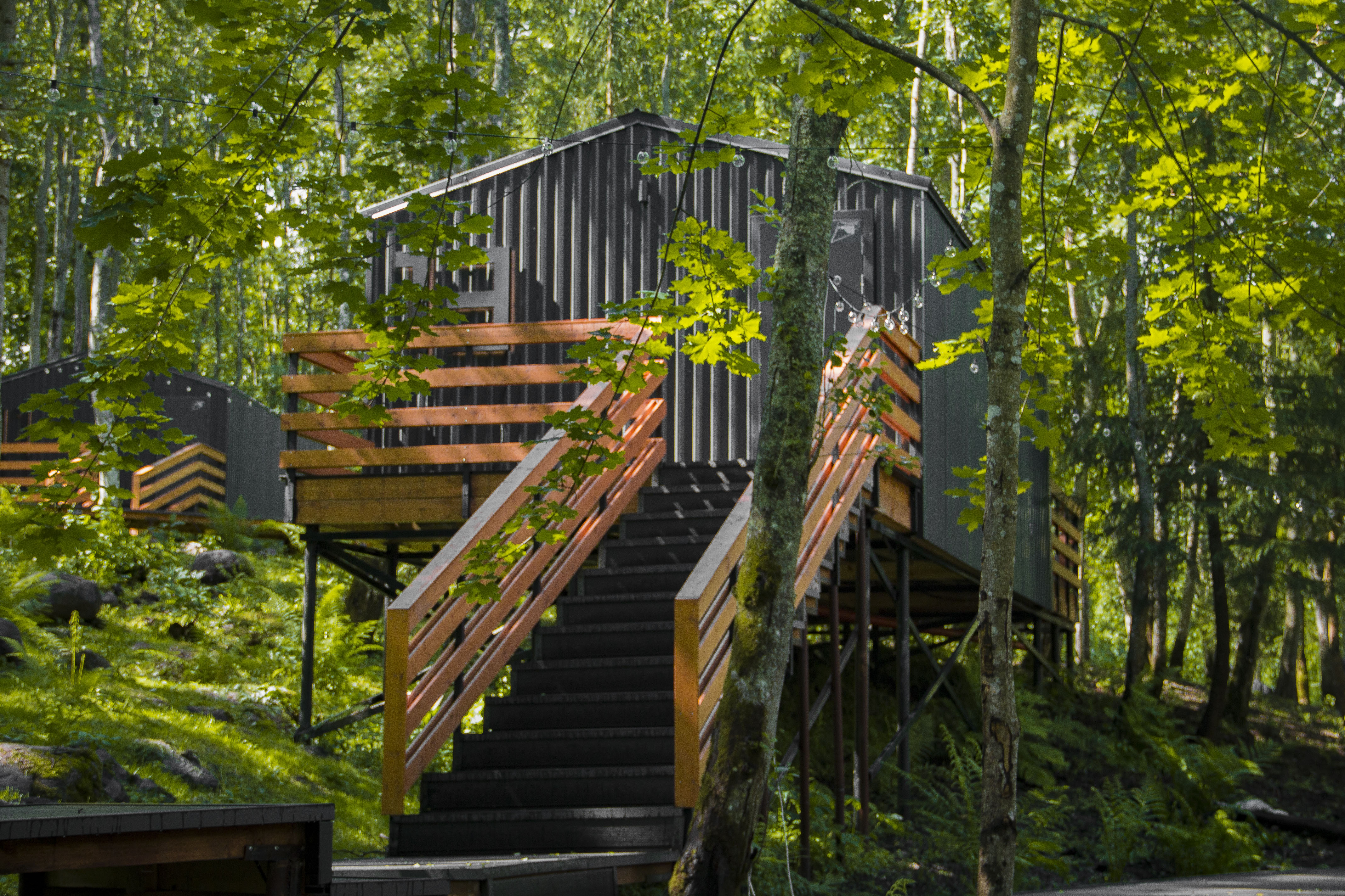 Фото BlackVillage