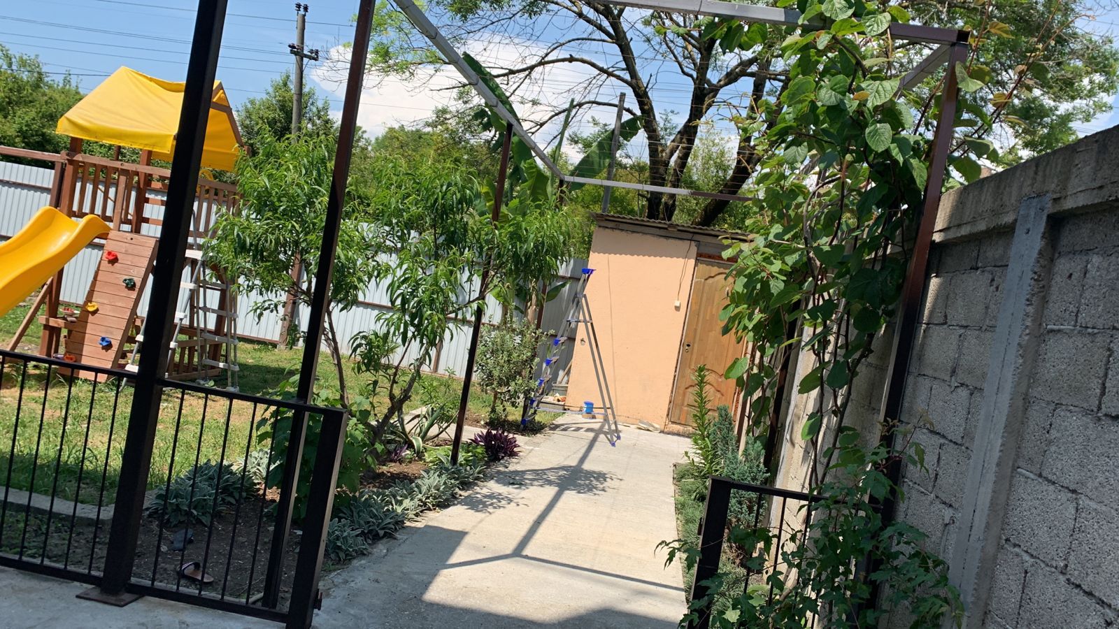 Фото Лантана