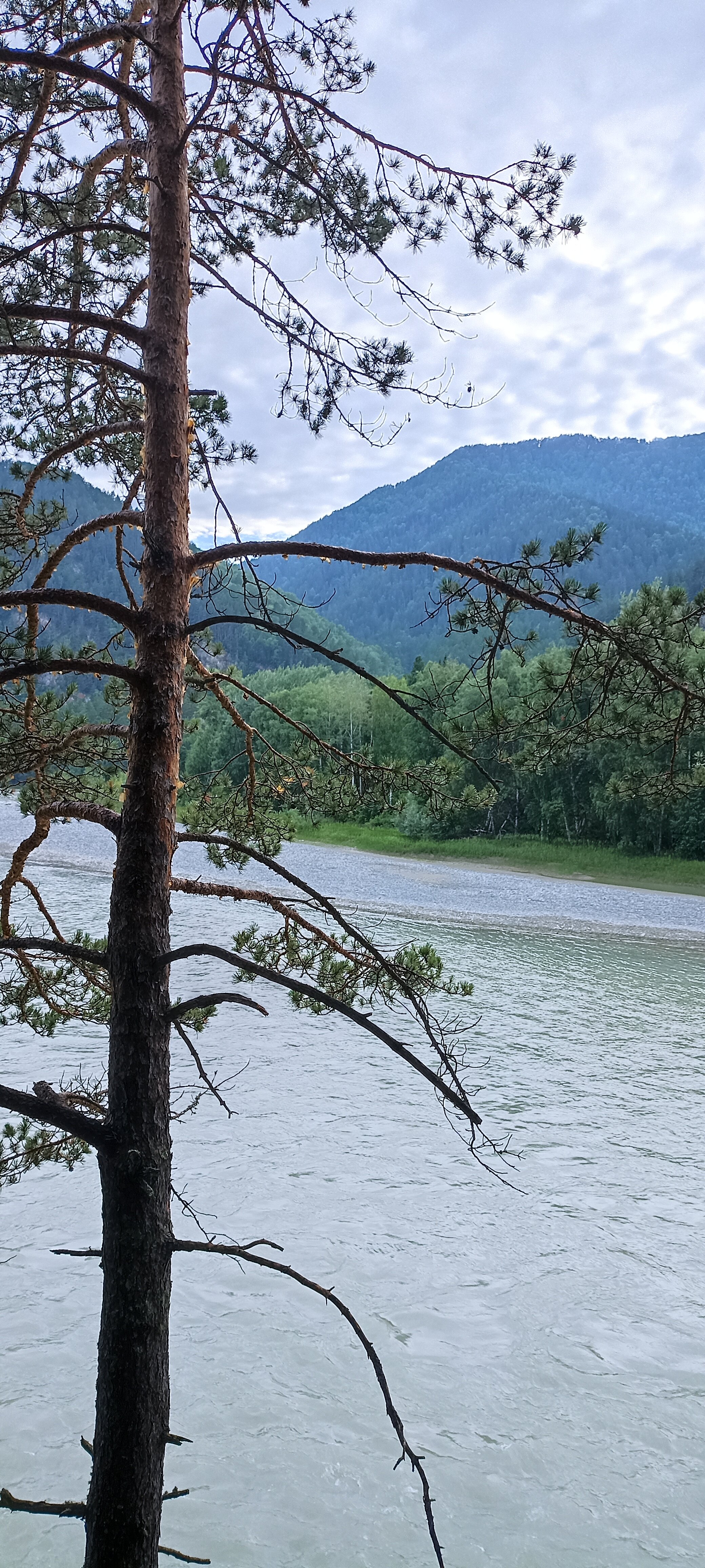 Фото Катунский утёс