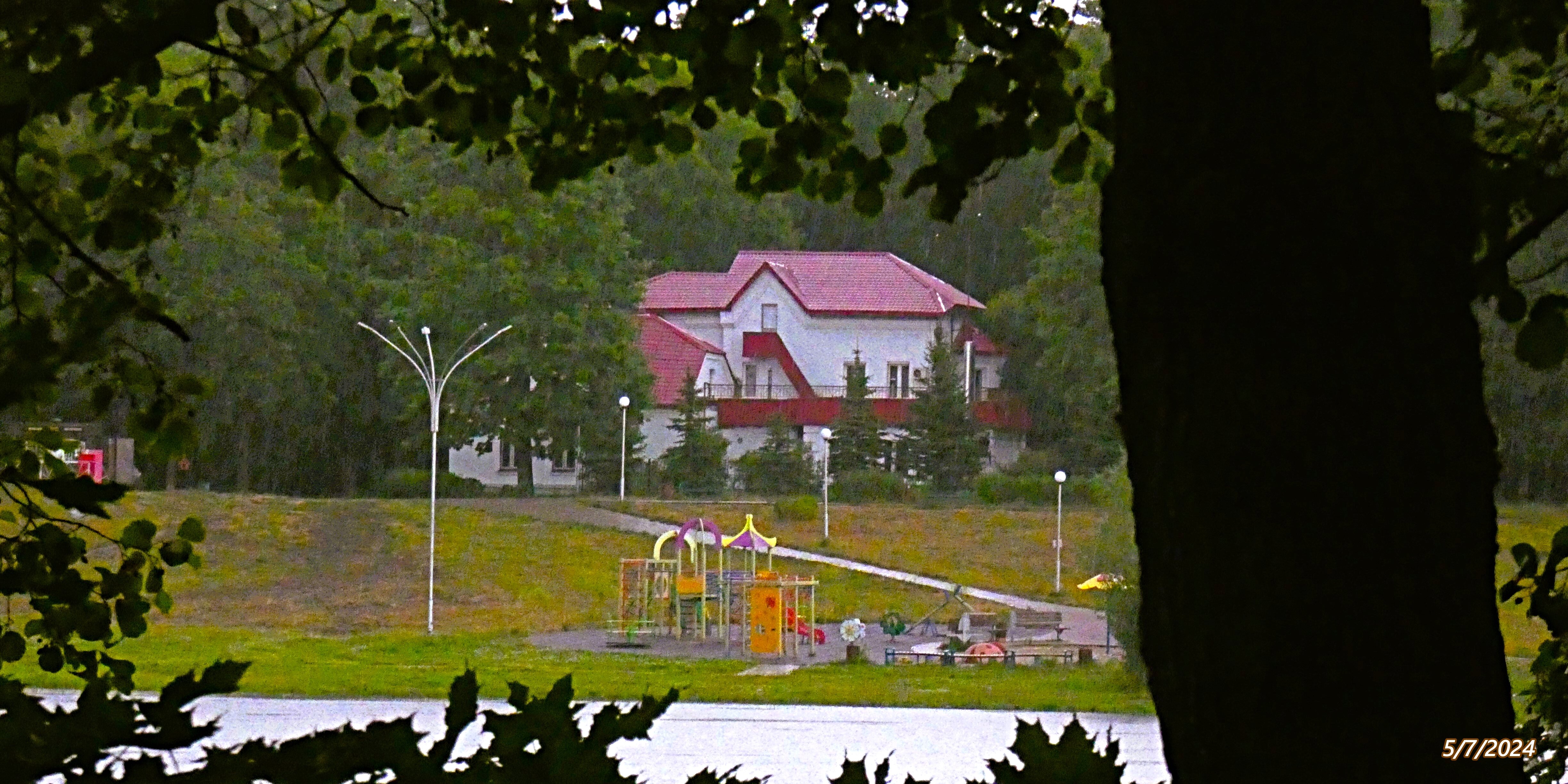 Фото Лесная