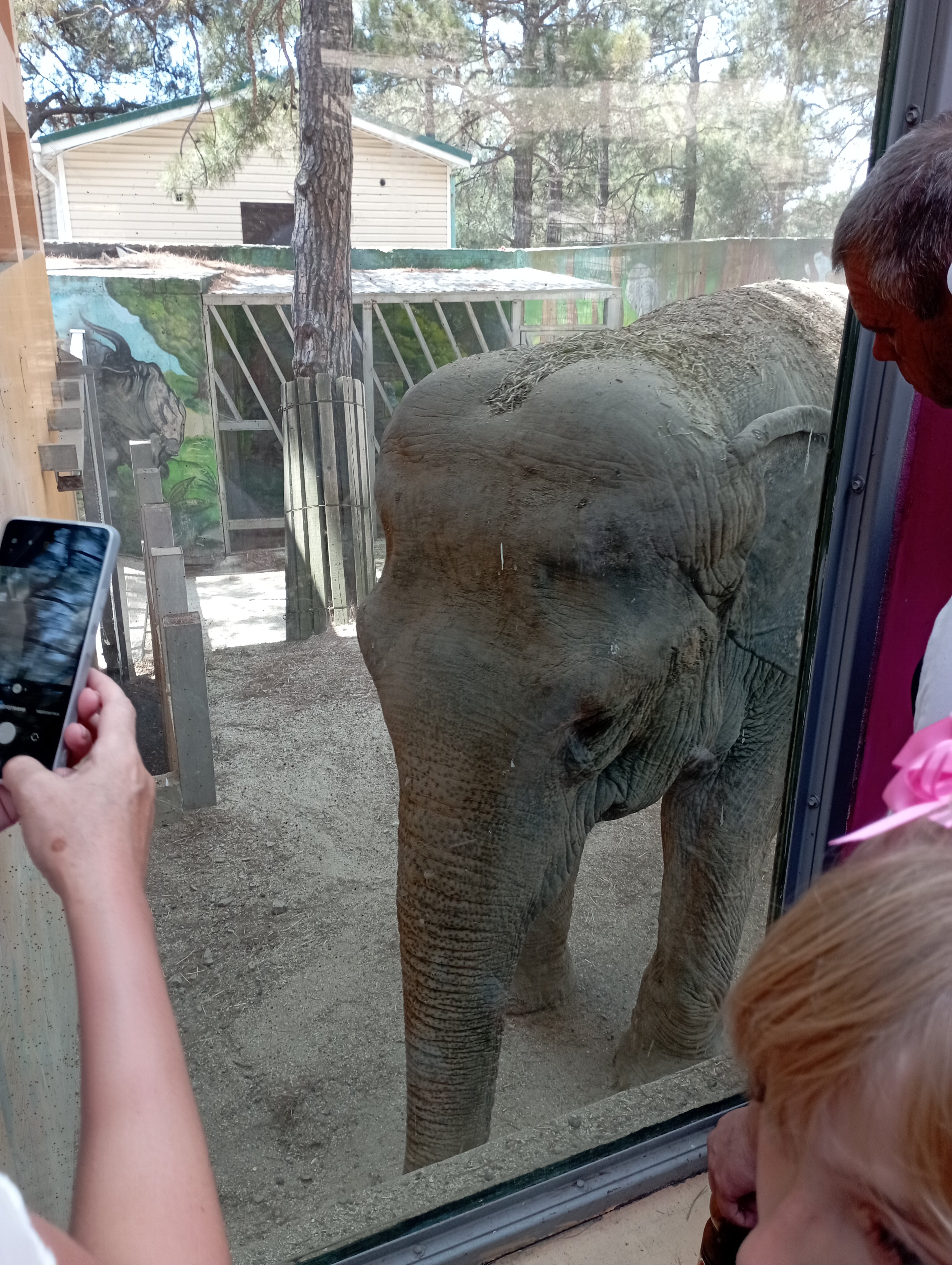 Фото Самотлорские ночи