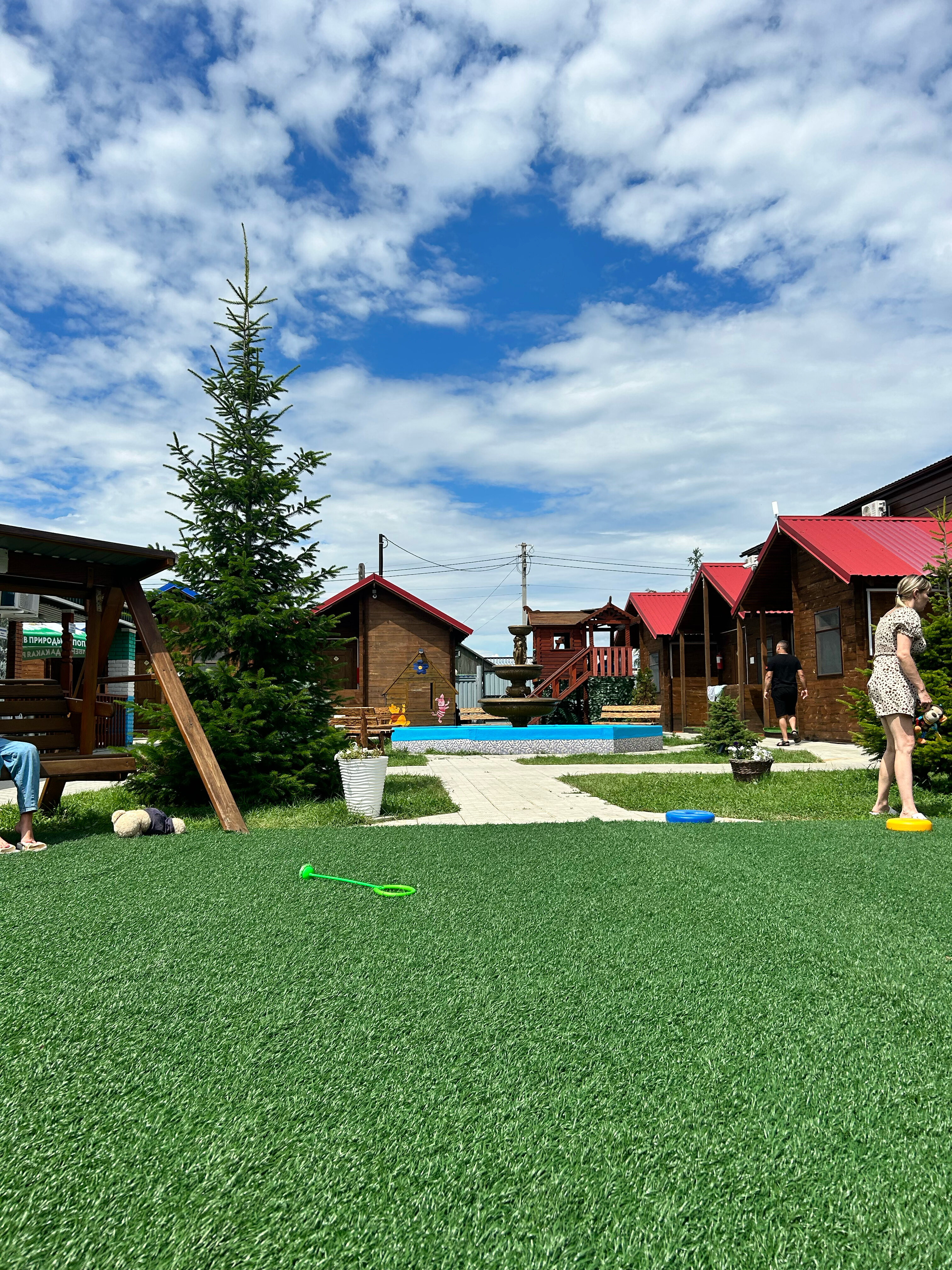 Фото Лазурное Яровое