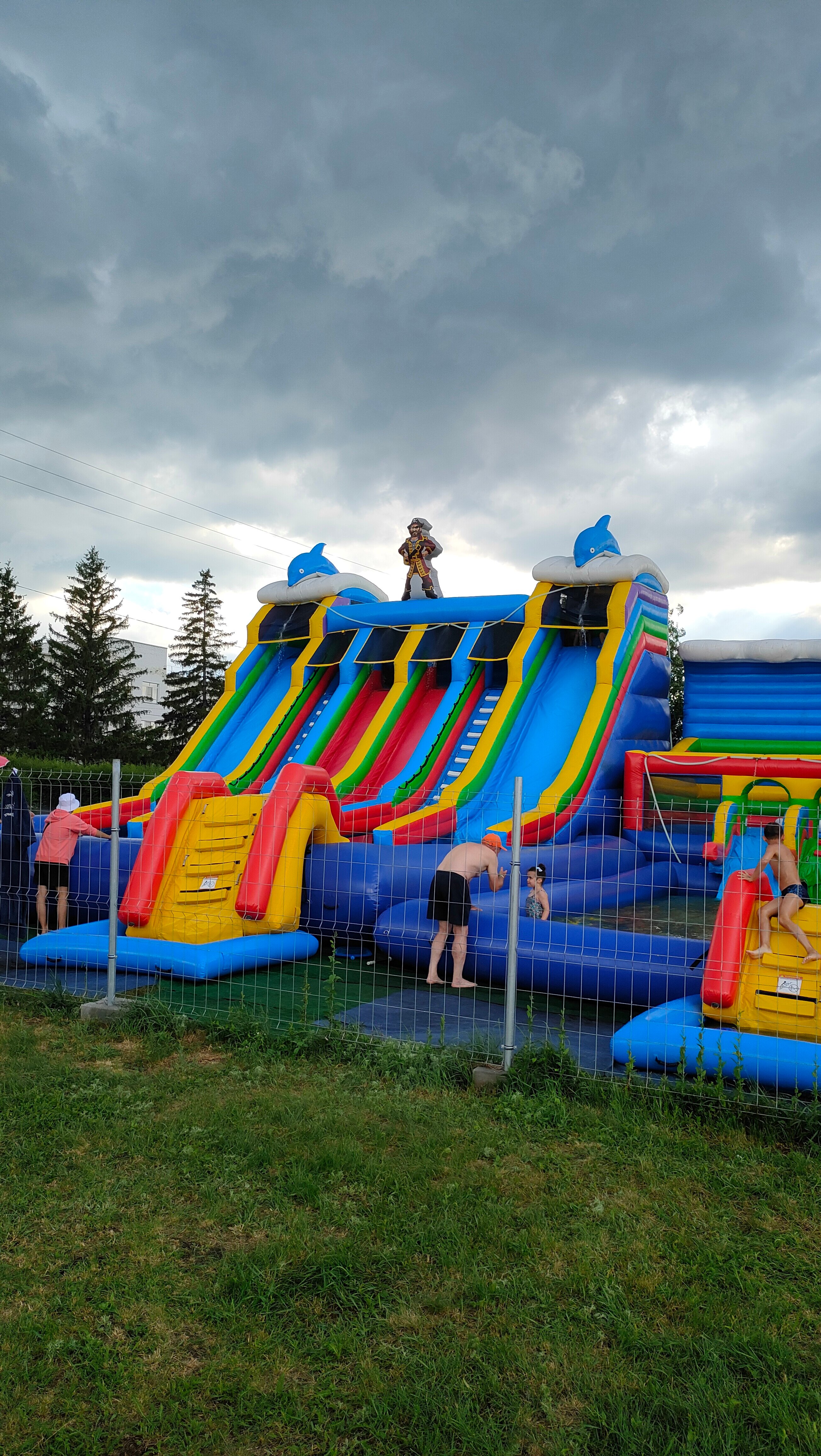 Фото Сосновая роща