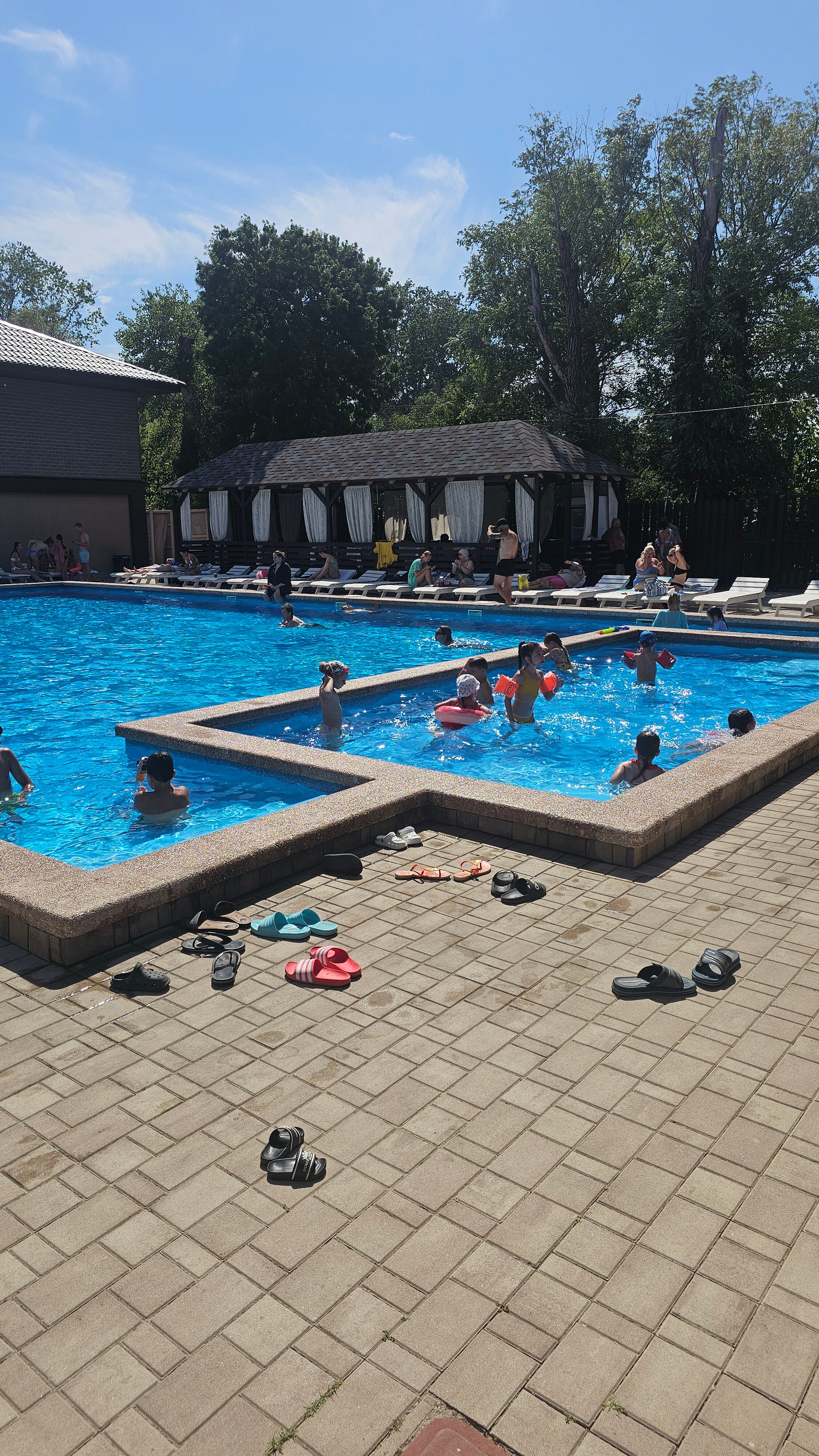 Фото Кипарис