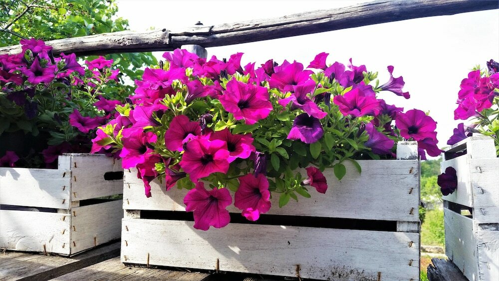 Фото Dépendance in Villa Karmel