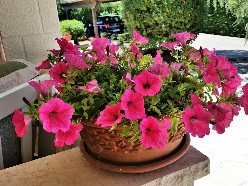 Фото Dépendance in Villa Karmel