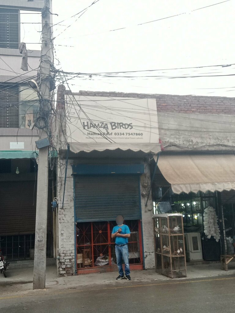 Egg and poultry meat Hamza birds, Lahore, photo