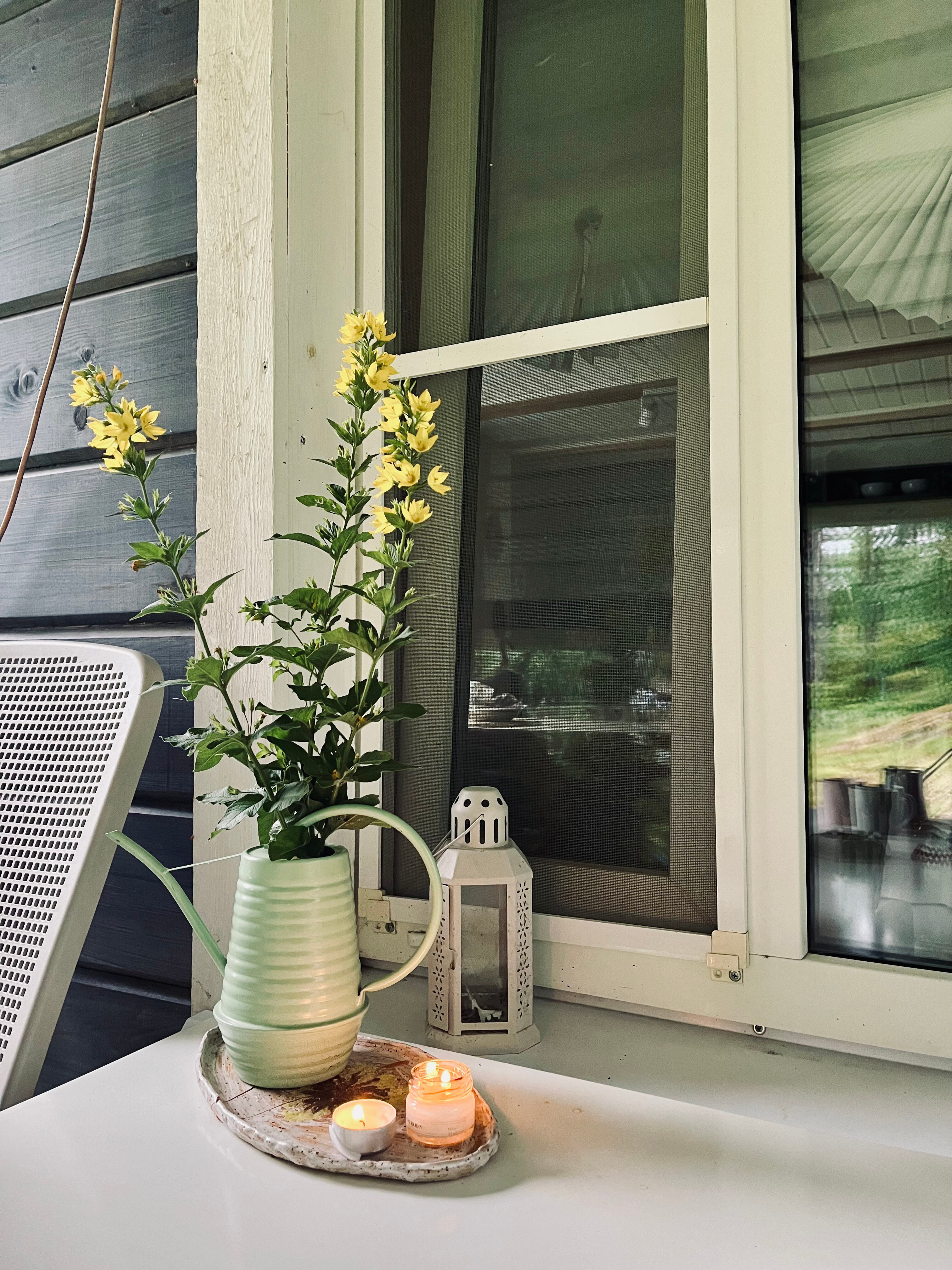 Фото Тайка Хаус