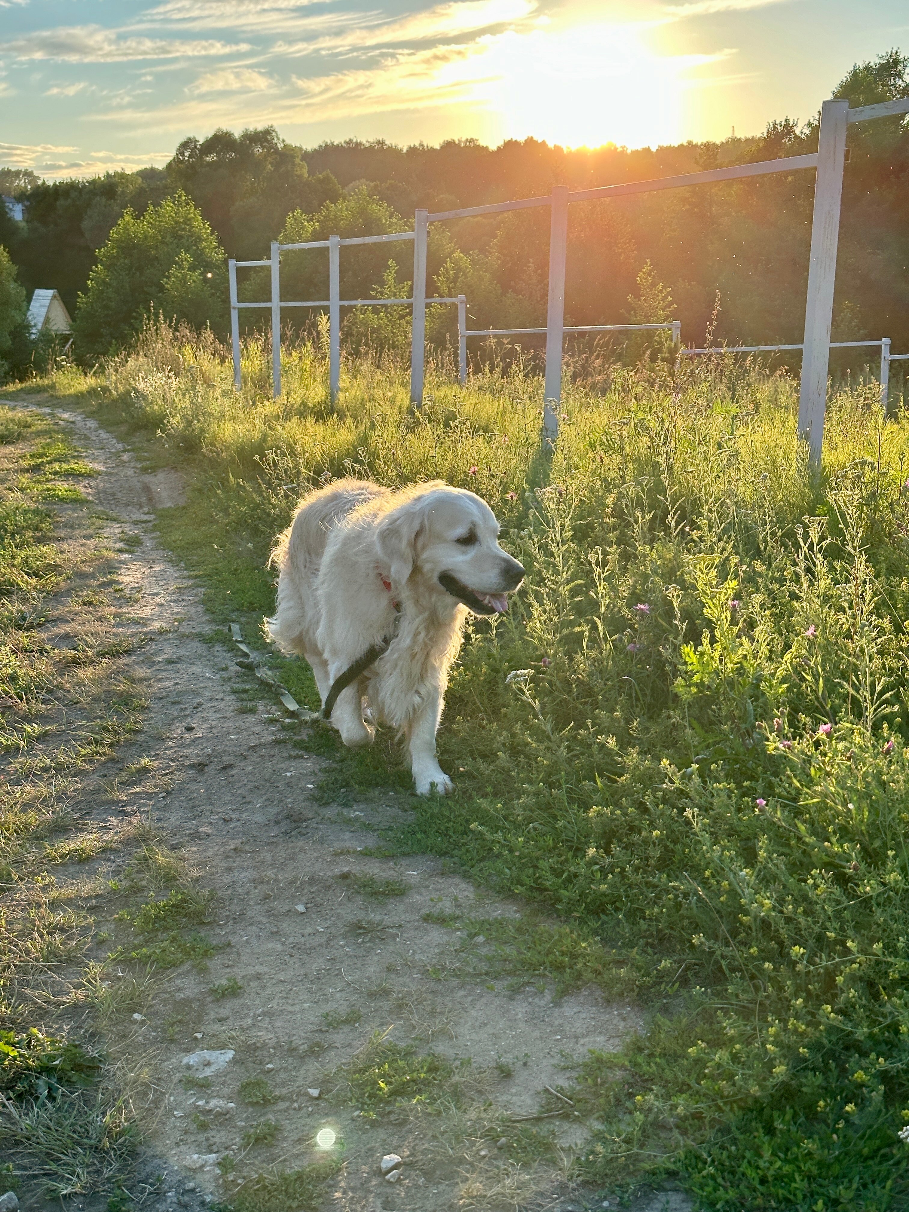 Фото Терраса Малеевская