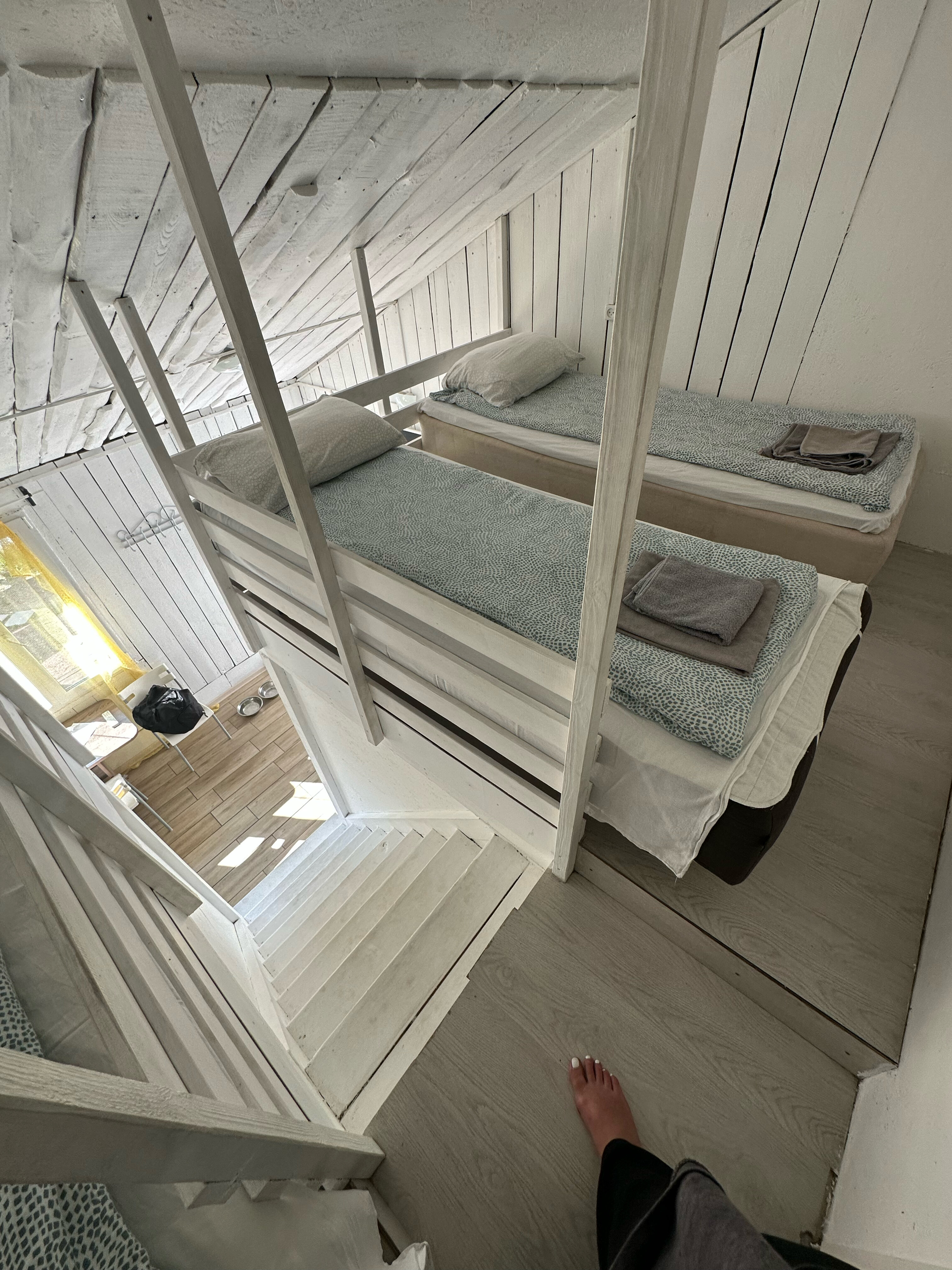 Фото Сканди