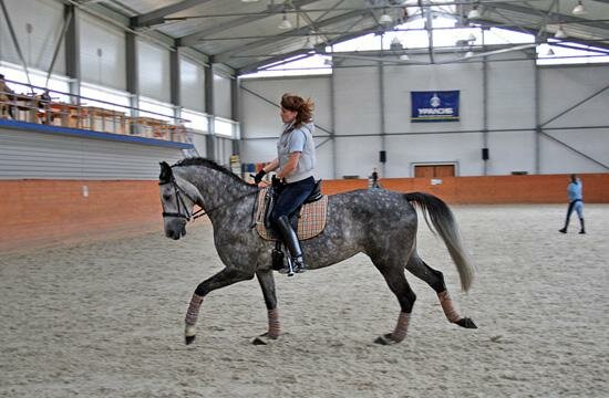 Equestrian Sports Complex