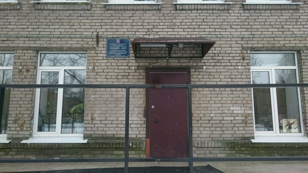 Lyceum Лицей № 533, Saint Petersburg, photo