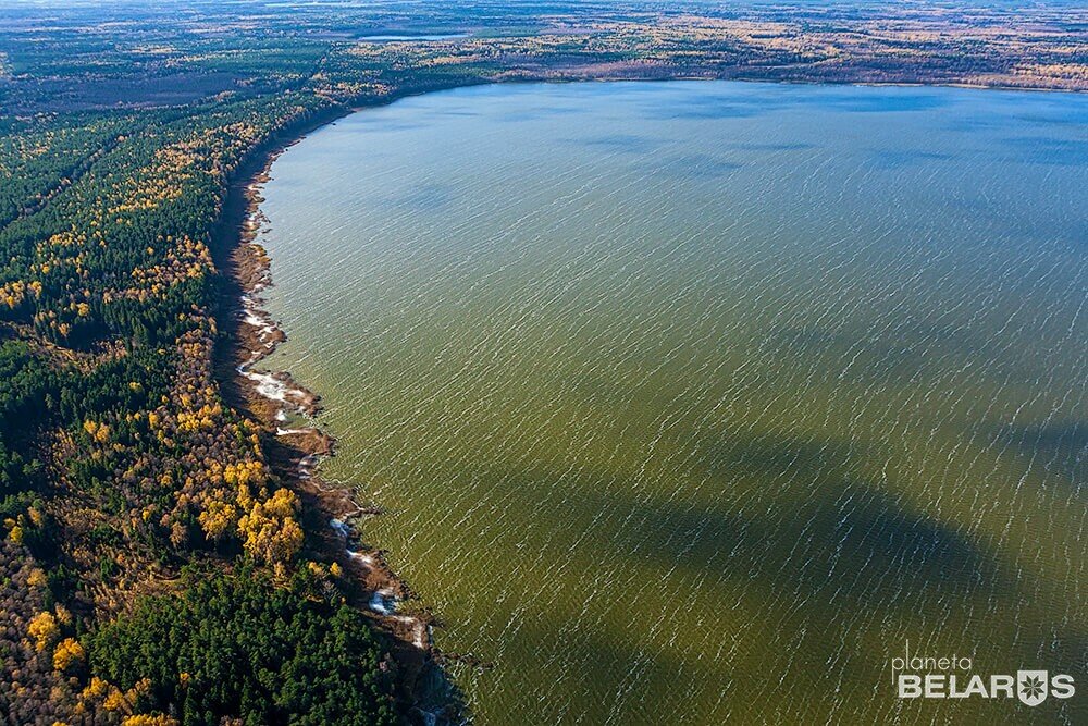 Parque forestal Республиканский гидрологический заказник Швакшты, , foto